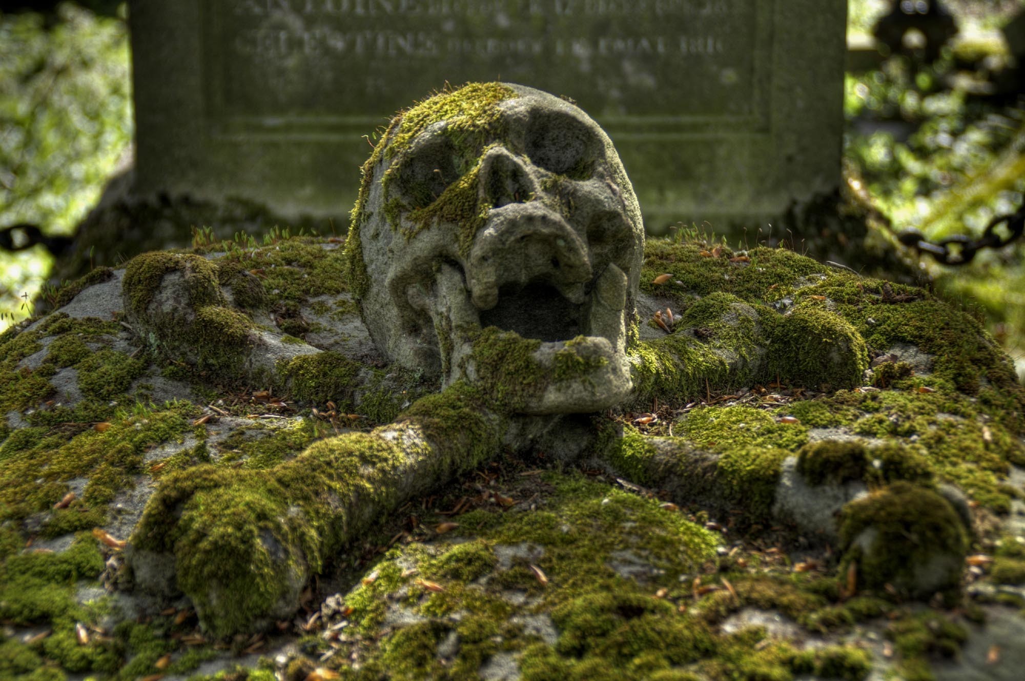 Graveyards Skull Skull And Bones Moss 2000x1328