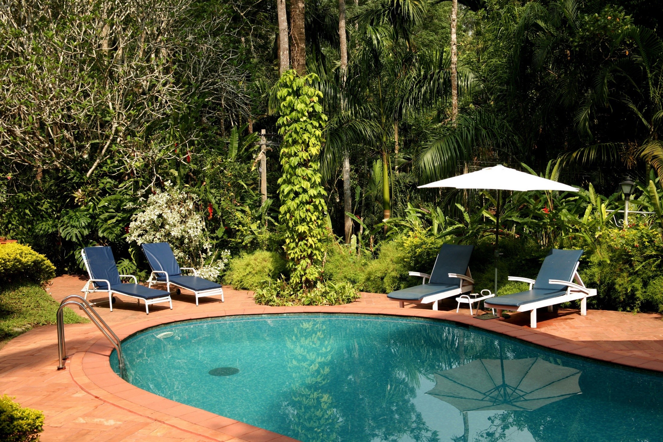 Backyard Swimming Pool Deck Chairs Beach Umbrella Garden 2200x1467