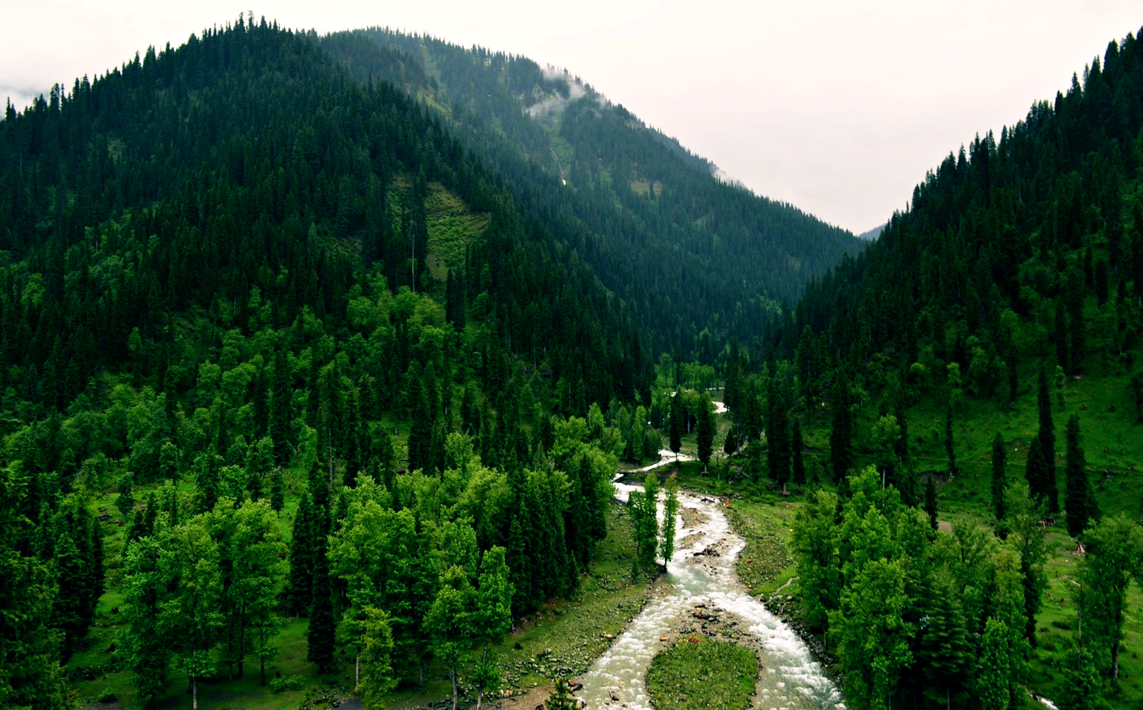 Tao Butt Kashmir Pakistan Forest Tree River Nature Earth Landscape 3840x2385