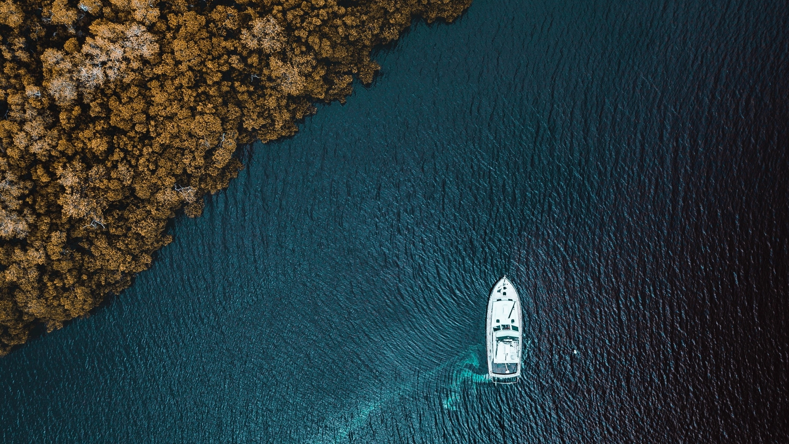 Aerial Sea Boat Vehicle Water Trees Drone Photo Top View Aerial View Forest Birds Eye View Solice 2560x1440