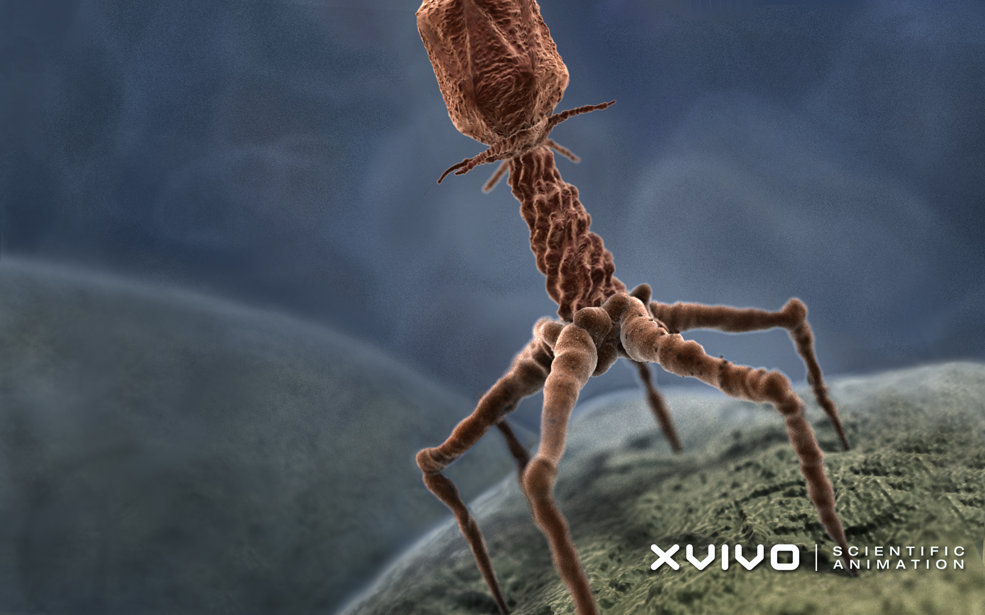 Macro Microscopic Science Viruses Animation Render CGi XViVO 1920x1200