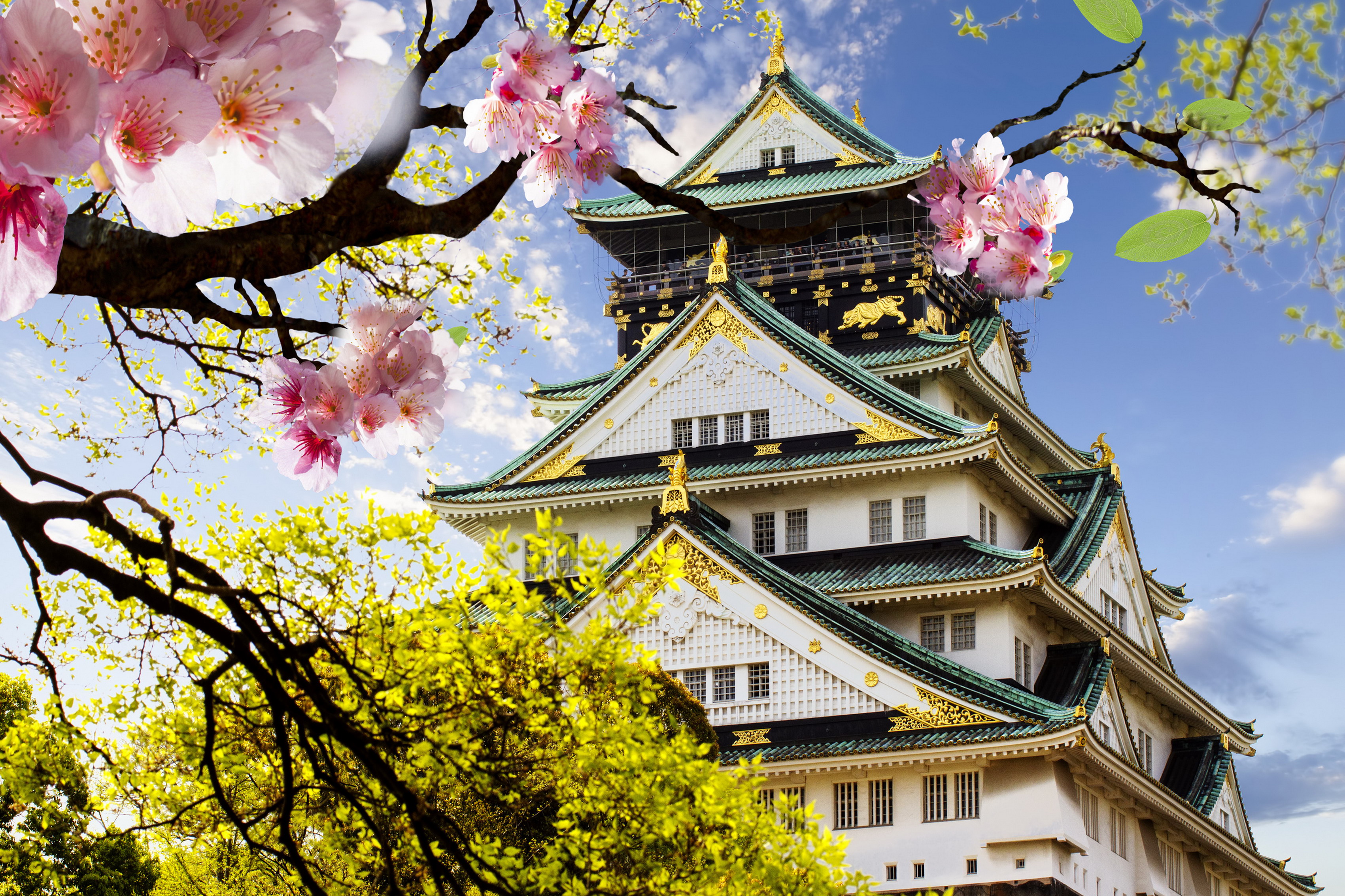 Japan Architecture Cherry Blossom Osaka Castle Osaka 3402x2268