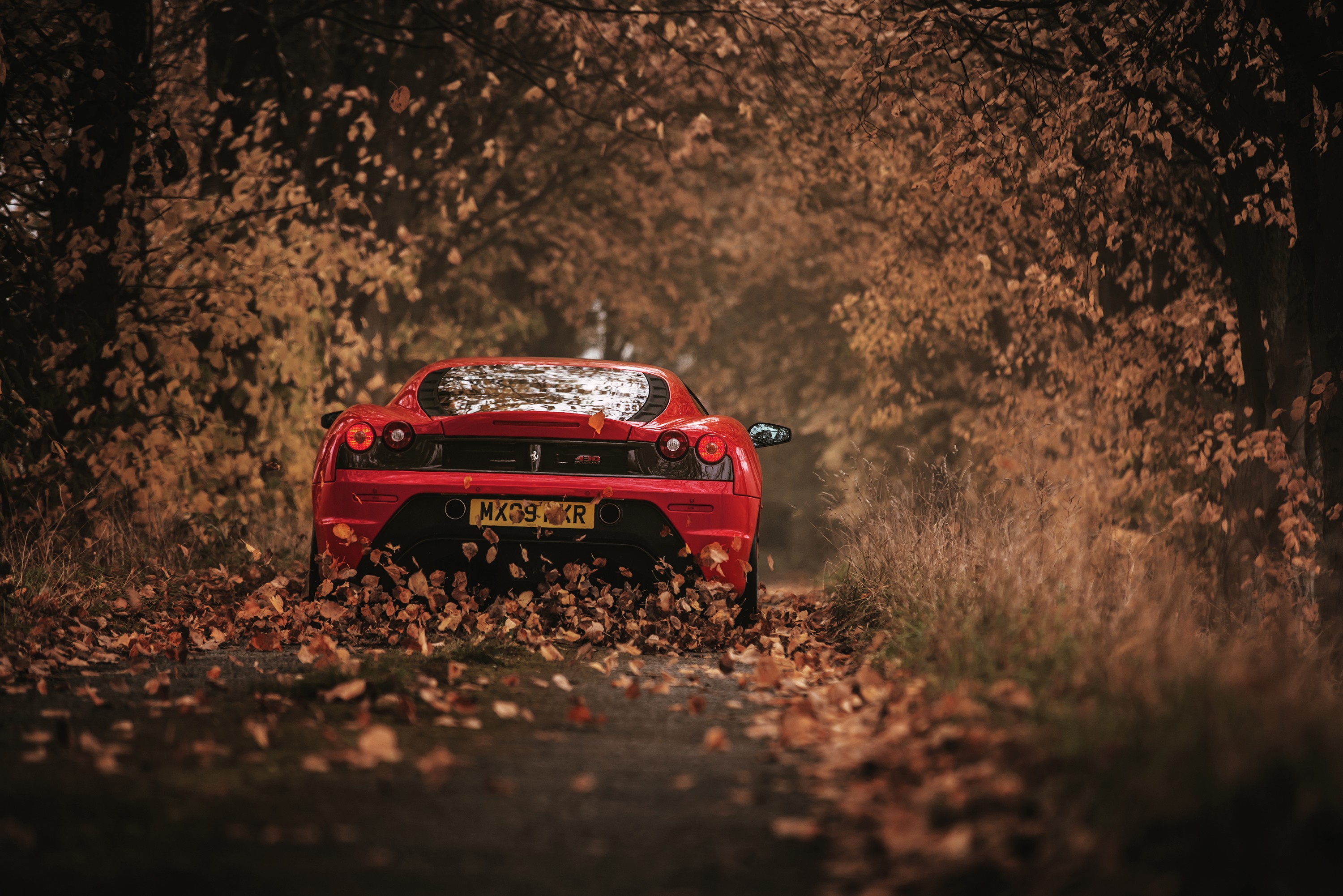 Car Ferrari Leaves Road Ferrari F430 3000x2002