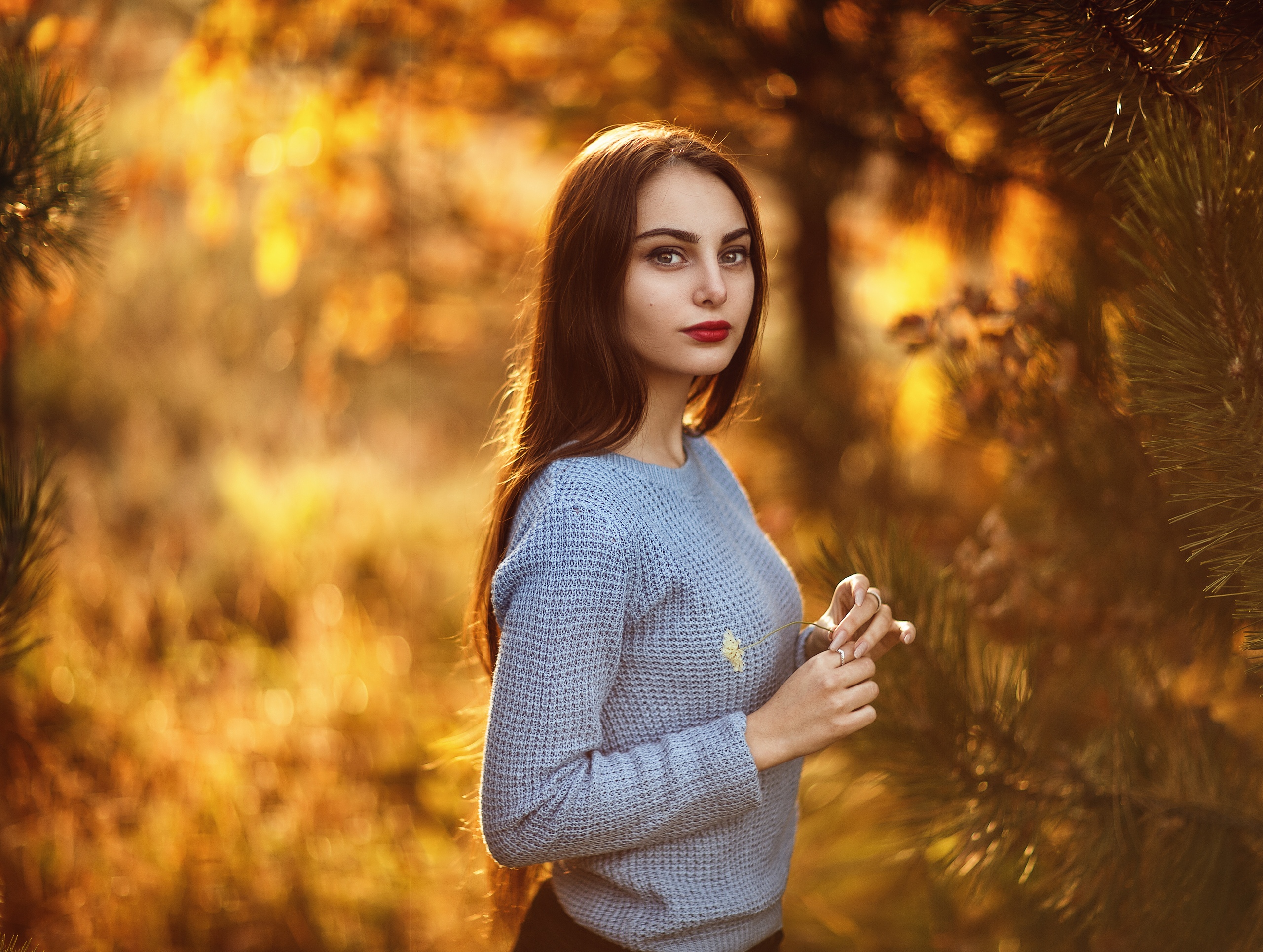 Women Model Brunette Long Hair Portrait Outdoors Fall Leaves Forest Looking At Viewer Red Lipstick S 2560x1929