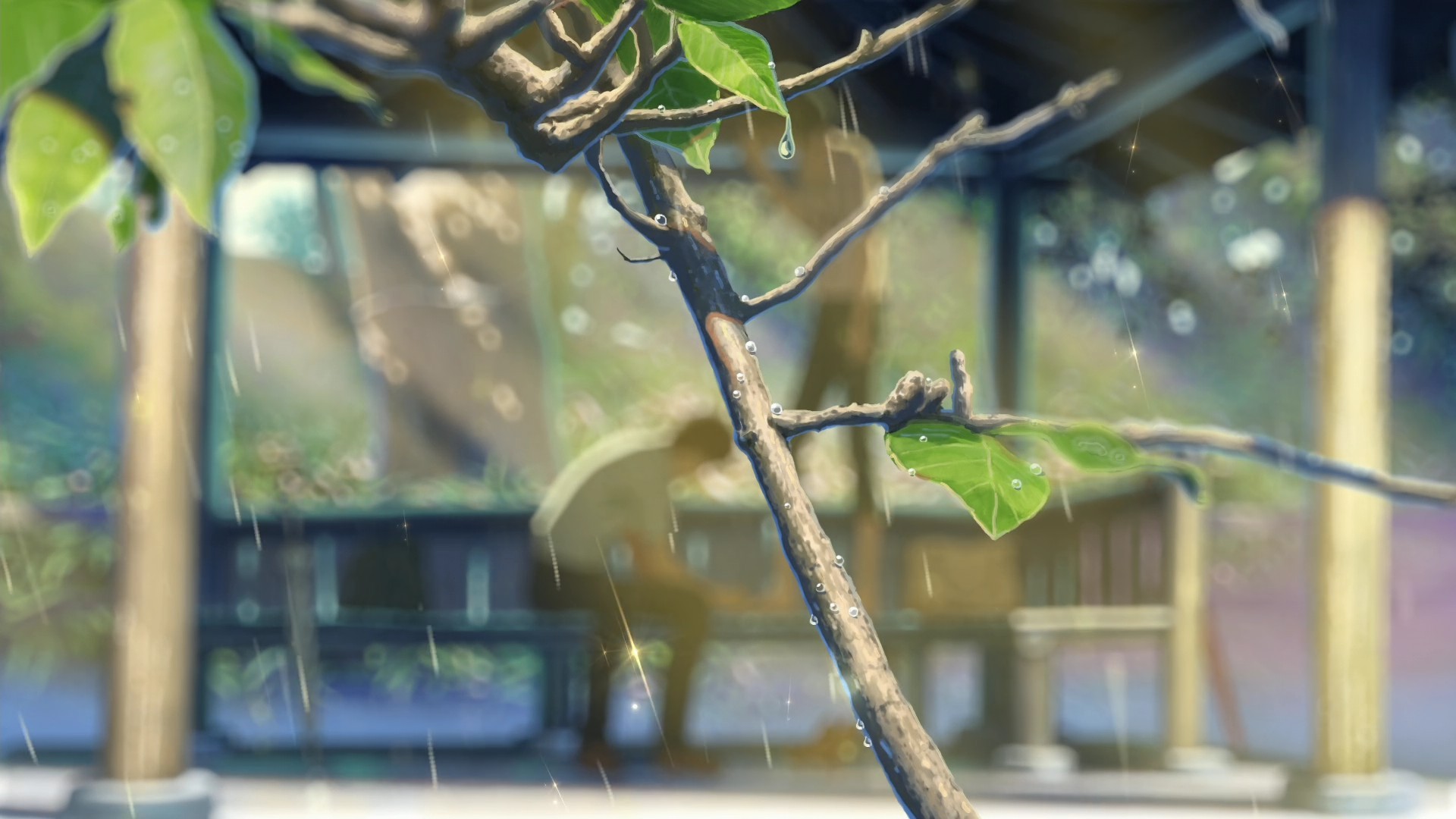 The Garden Of Words Summer Sunlight Makoto Shinkai Rain Branch 1920x1080