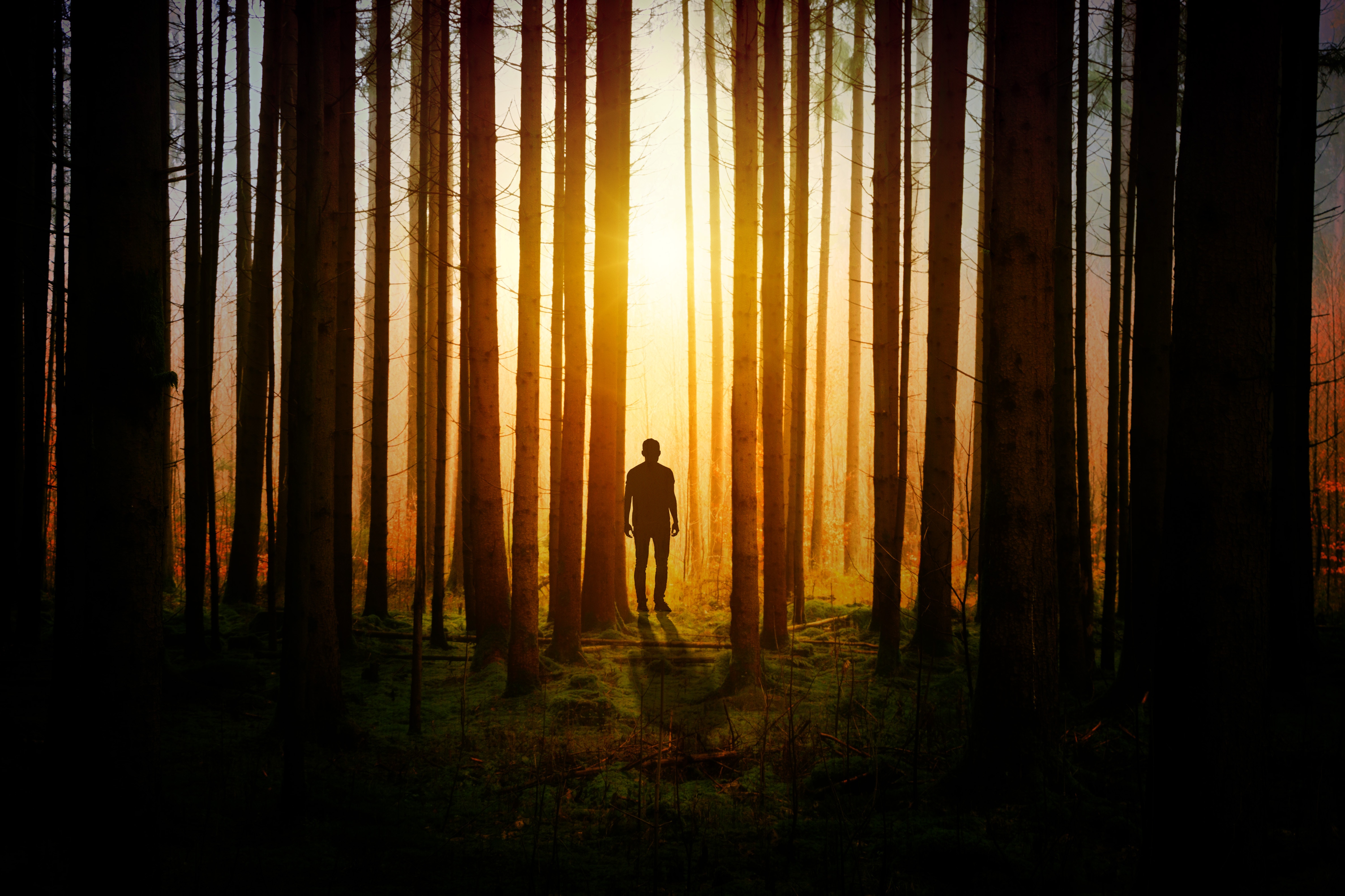 Nature Men Outdoors Men Outdoors Forest Dark Landscape Silhouette Alone Sunrise Shadow Fall Backlit  4752x3168