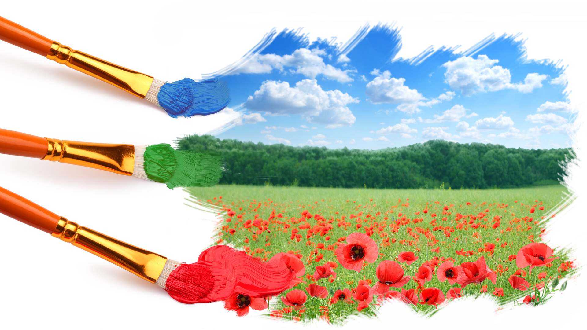 Clouds Sky Forest Field Poppies Landscape Painters Brush Painting Digital Art Photo Manipulation 1920x1080