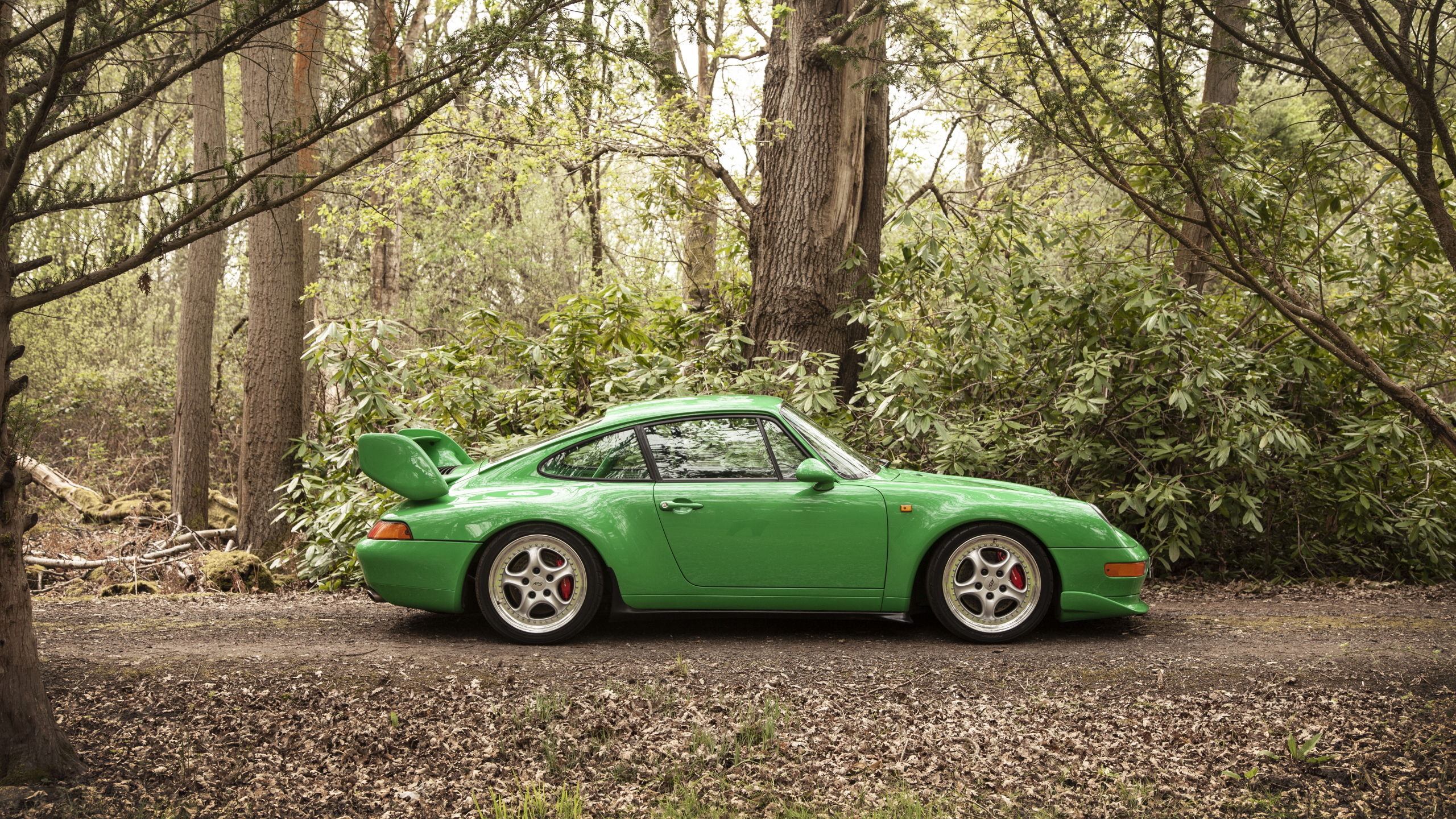 Car Porsche Porsche 911 Carrera RS Forest Green Cars Vehicle Trees 2560x1440