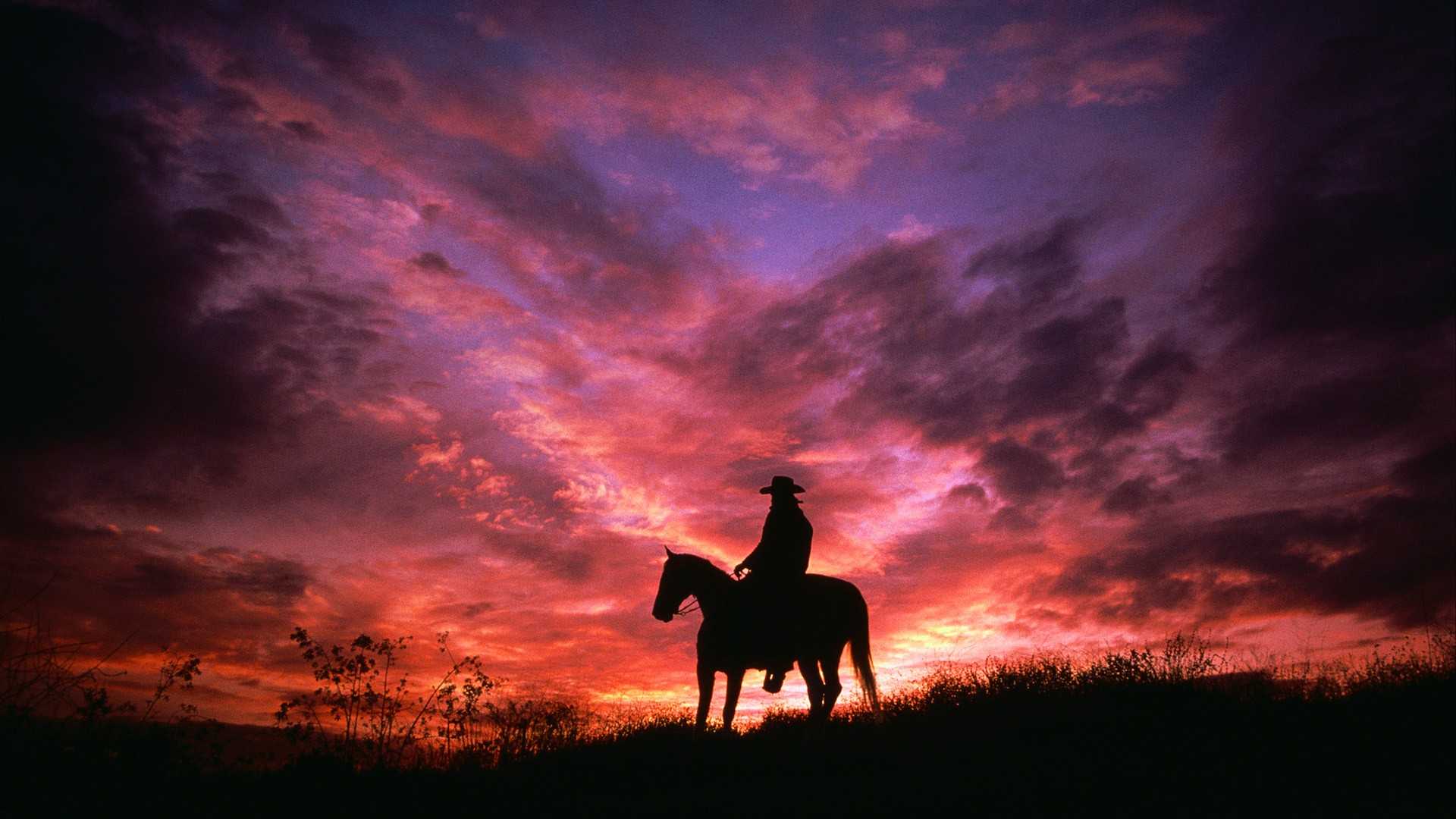 Cowboy Horse Sunset Silhouette Sky Pink Purple 1920x1080