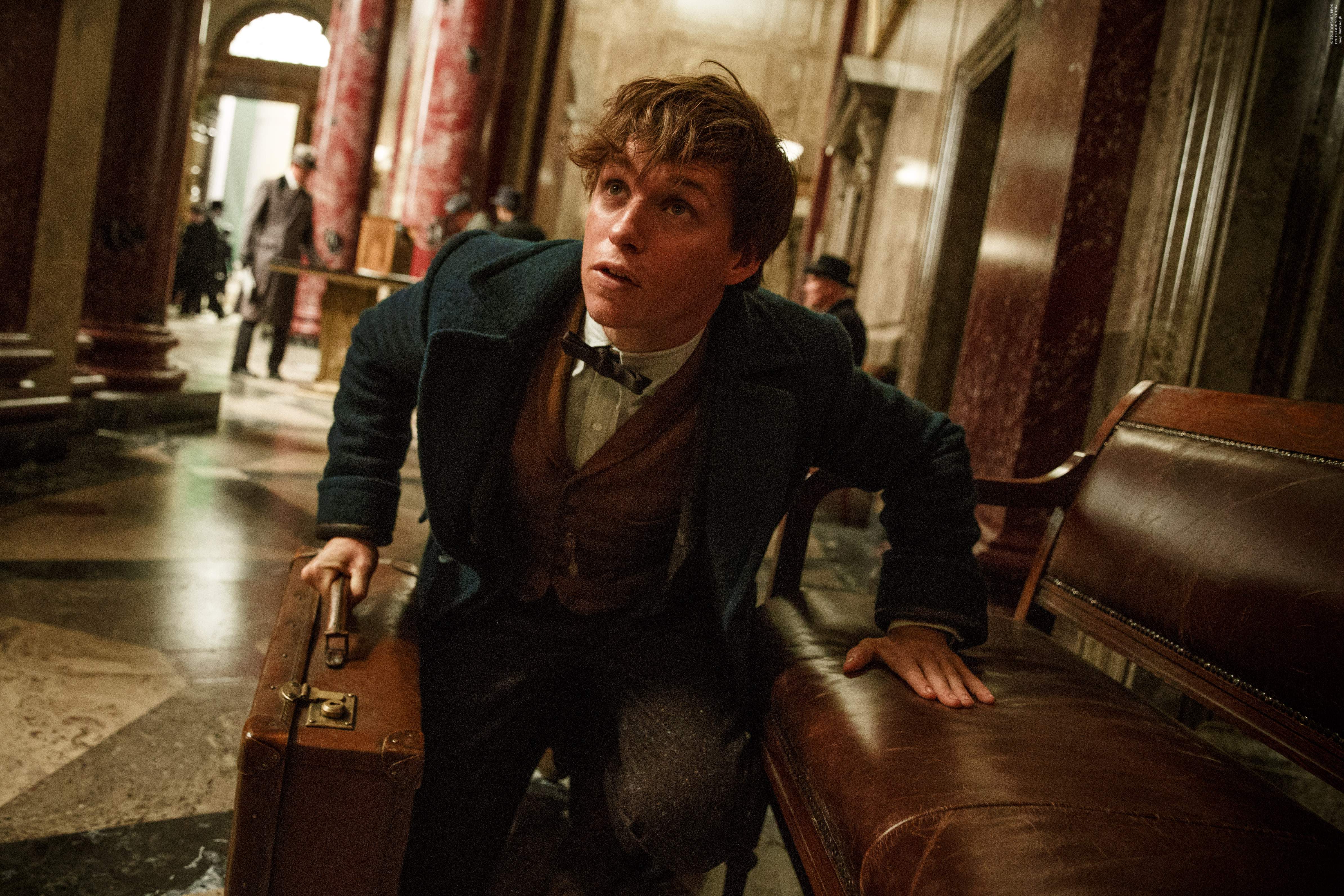 Fantastic Beasts And Where To Find Them Eddie Redmayne Newt Scamander 4776x3184
