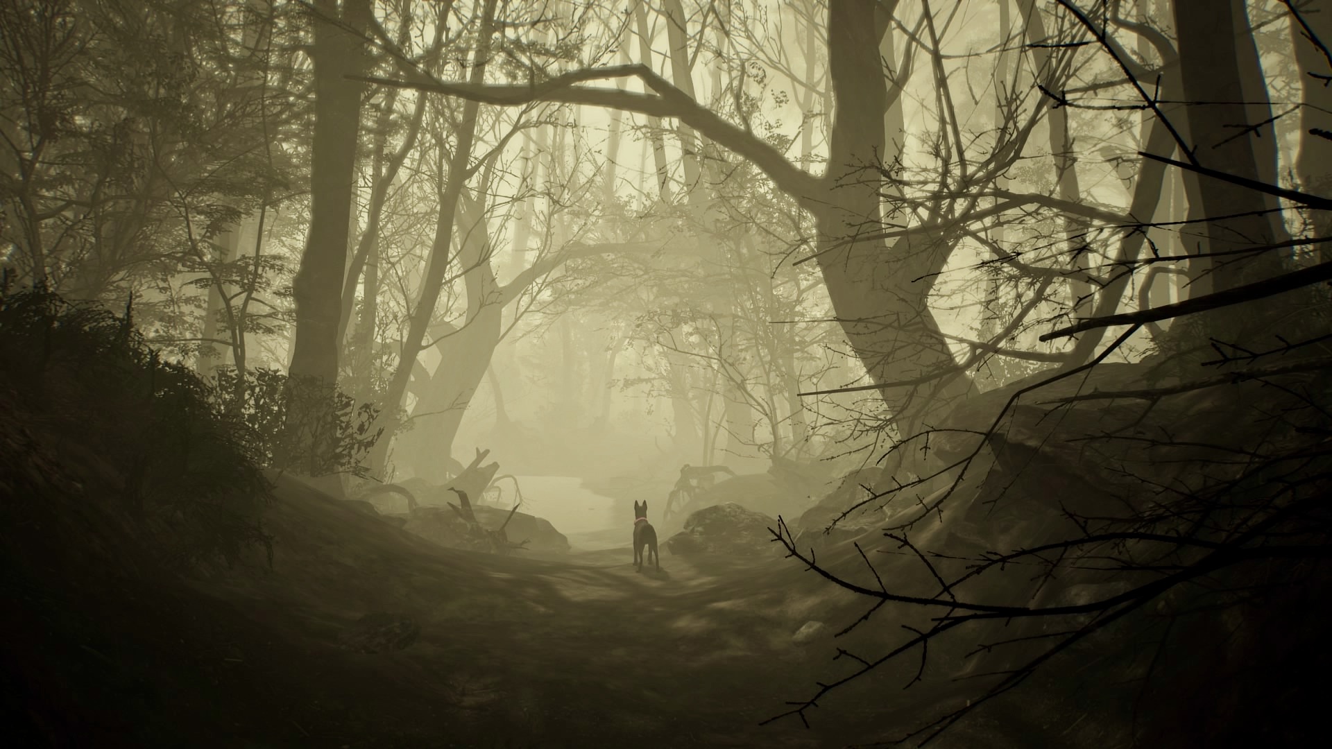 Blair Witch PlayStation 4 Video Games 1920x1080