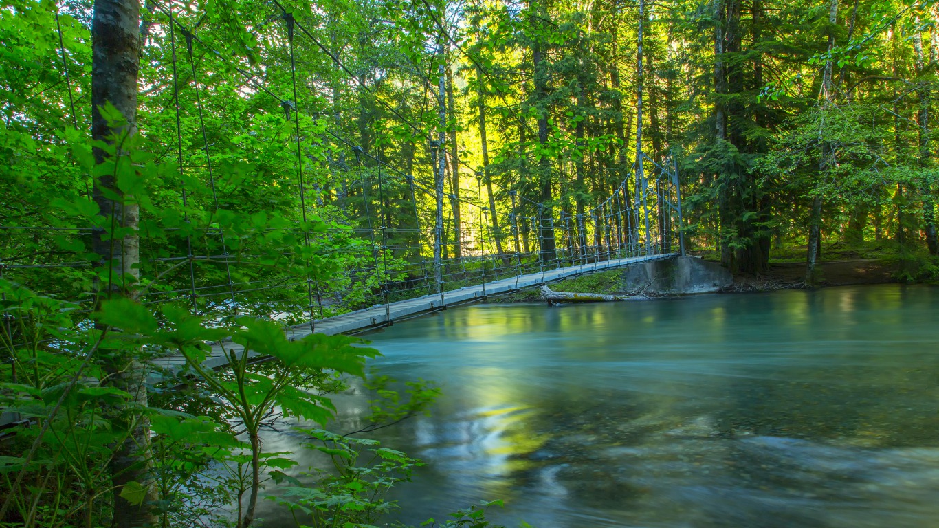 Forest Creek 1366x768