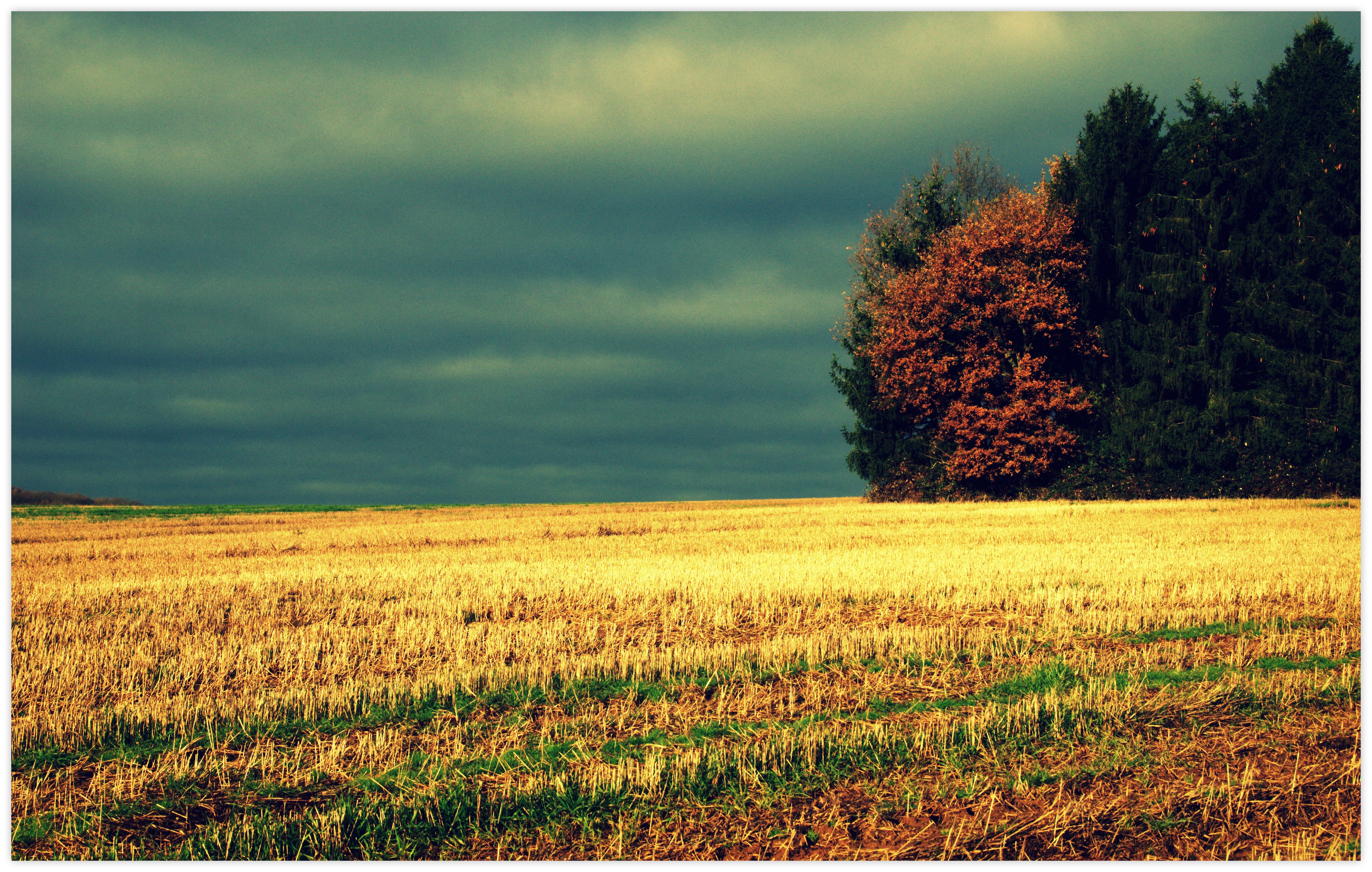 Photo Manipulation Field Dry Grass Trees Clouds 4380x2785