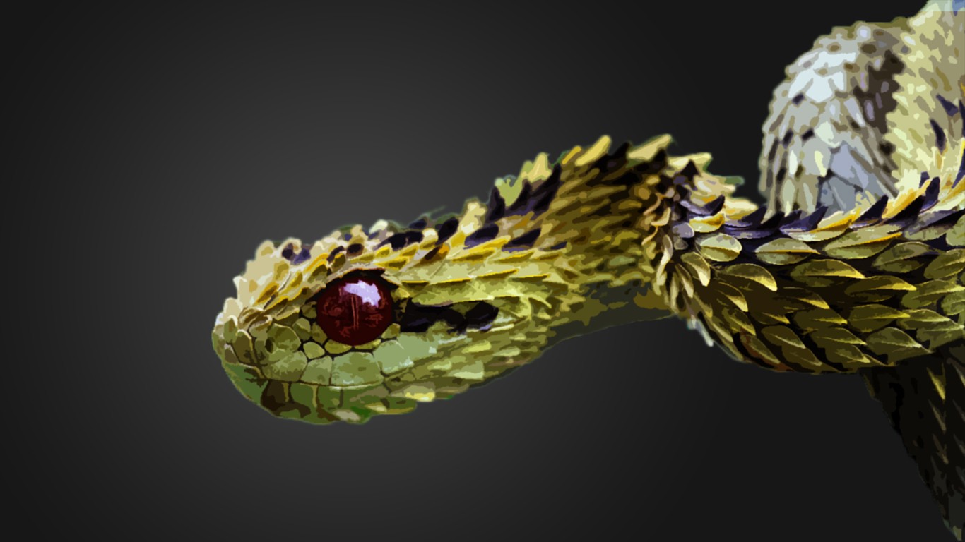 Photo Manipulation Vipers Snake Reptiles 1366x768