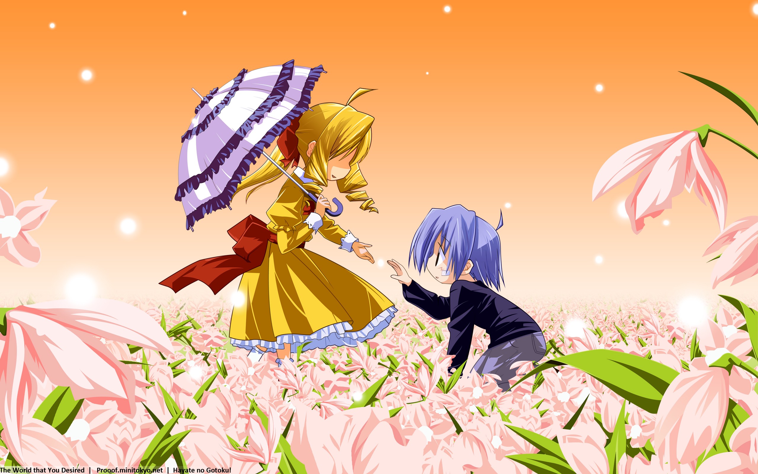 Hayate No Gotoku Anime Artwork Anime Girls 2560x1600