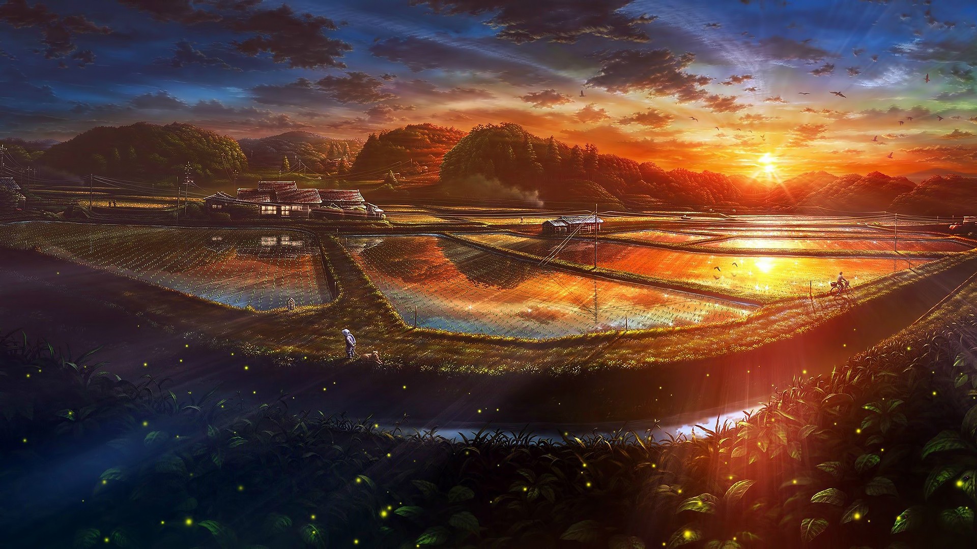 Anime Sunset Agro Plants Field Plants Sunlight Farm Sky 1920x1080