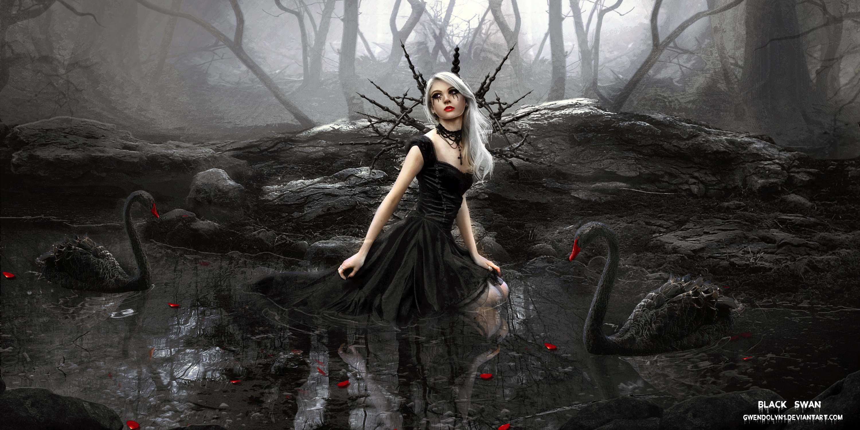 Black Swan Women Dark 3000x1500