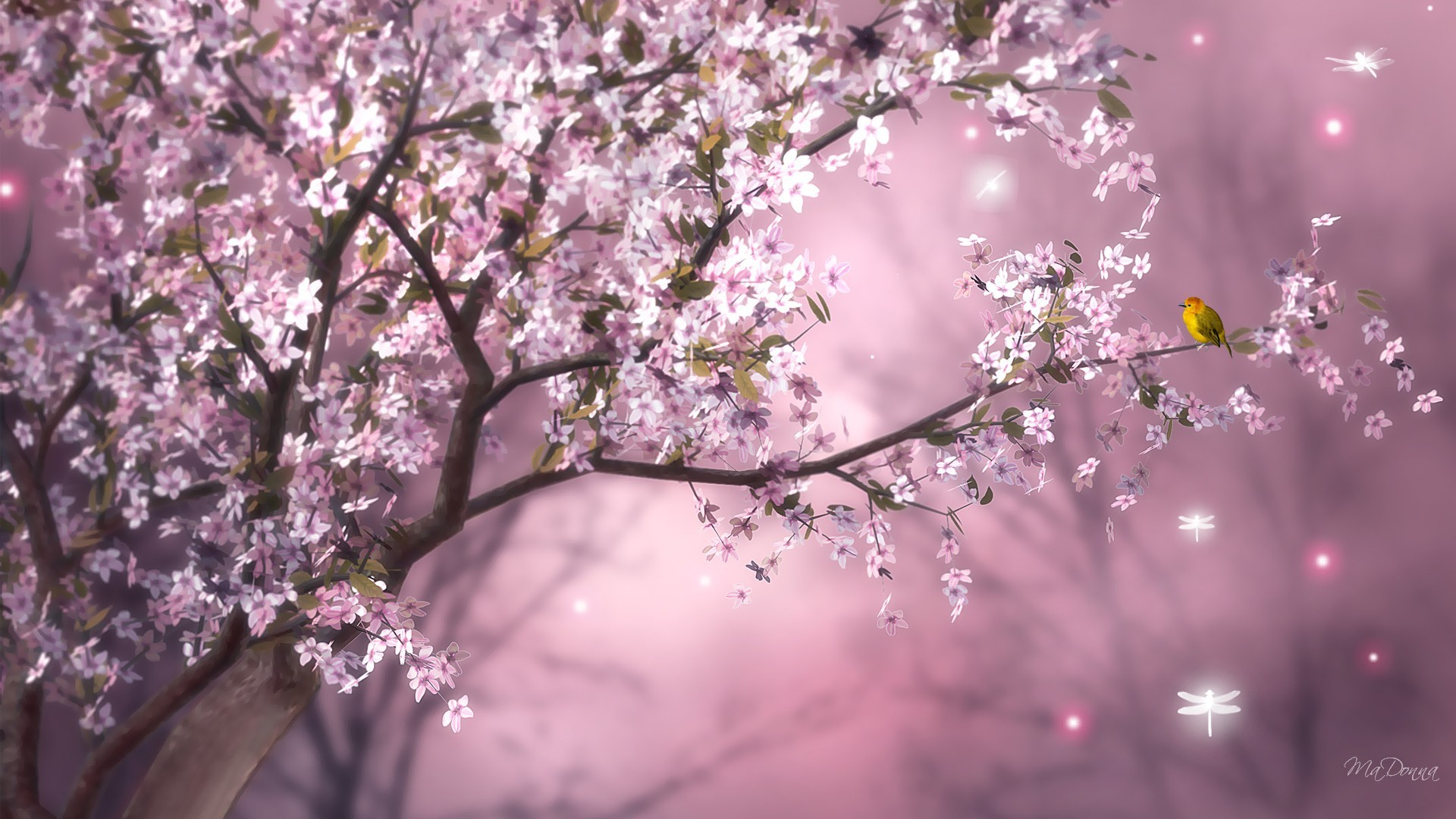 Artistic Spring Cherry Tree Branch Blossom Bird Pink Flower 1920x1080