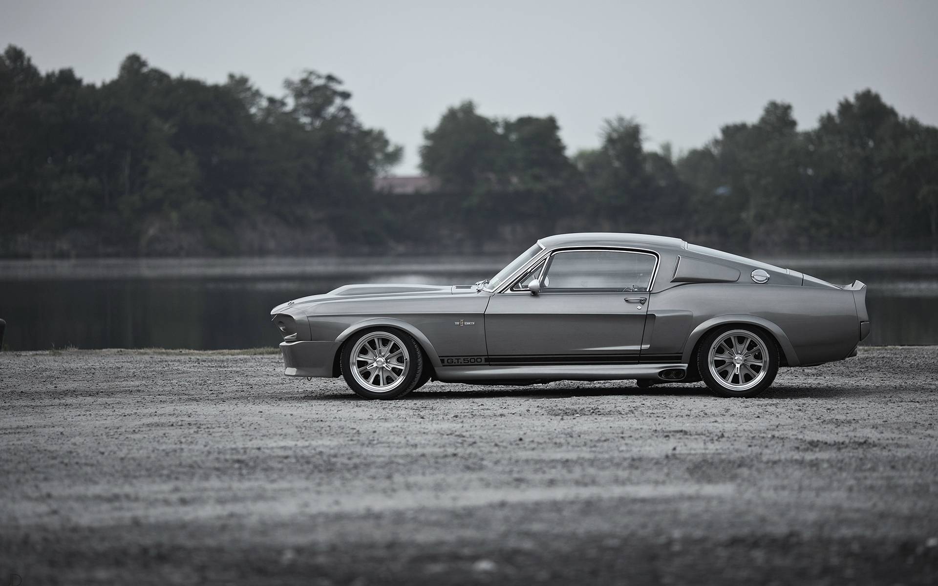 Mustang Gt500 Ford Monochrome Ford Shelby GT500 Car Eleanor Car Gray 1920x1200