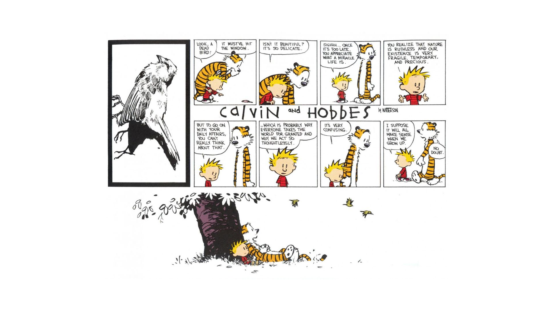 Calvin And Hobbes Cartoon Simple Background 1920x1080