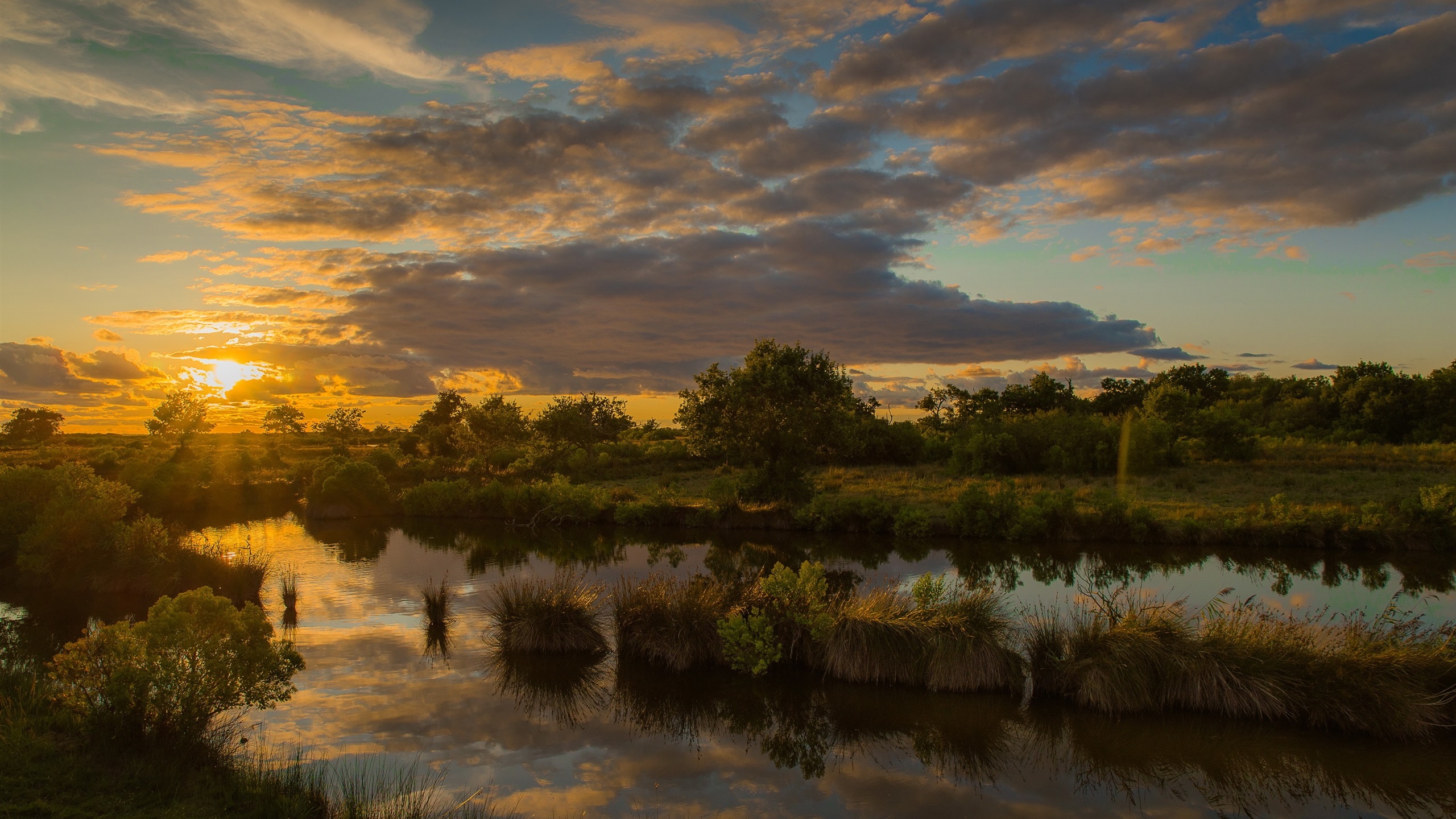 River Water Plants Sunset Clouds Sky Blue Nature Landscape 2560x1440