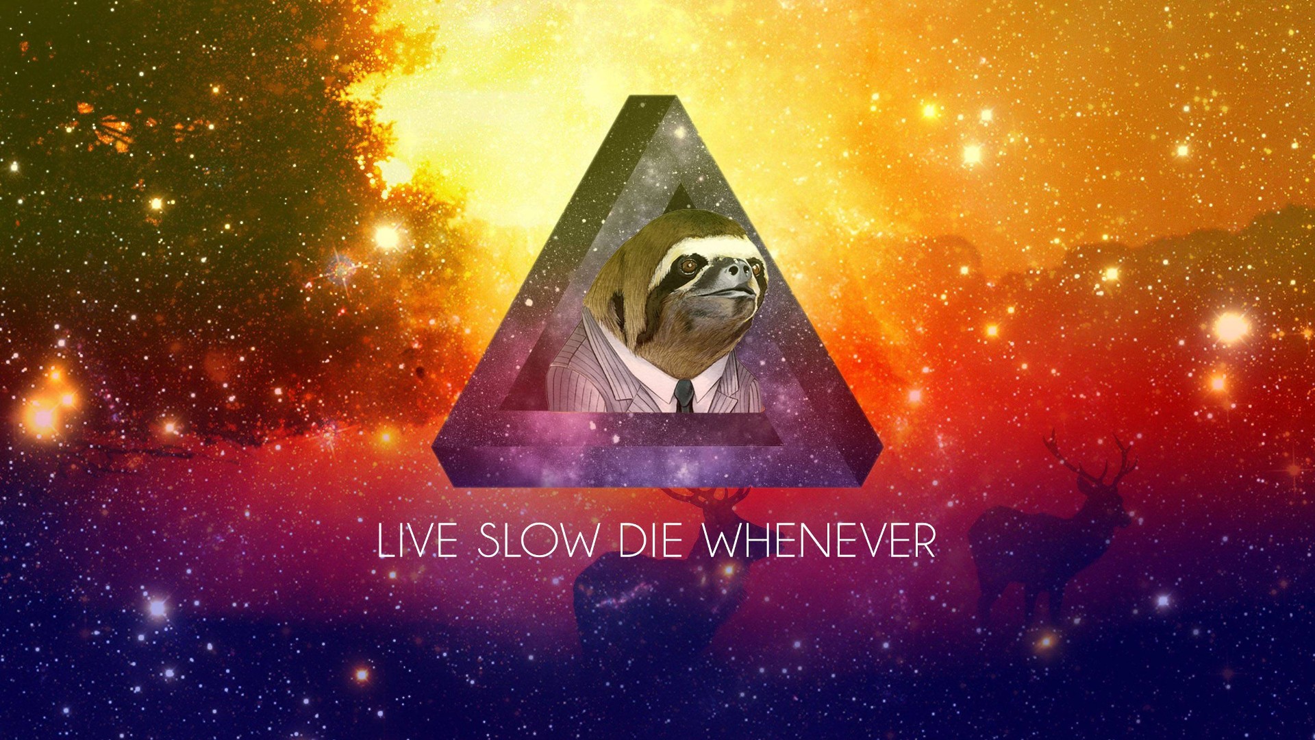 Sloths Motivational Digital Art Artwork Typography 1920x1080