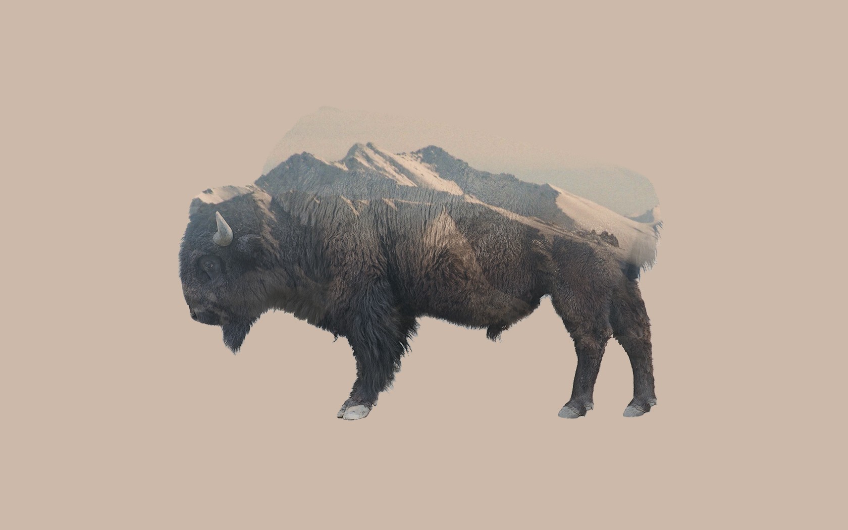 Double Exposure Animals Mountains Nature Bison 1680x1050