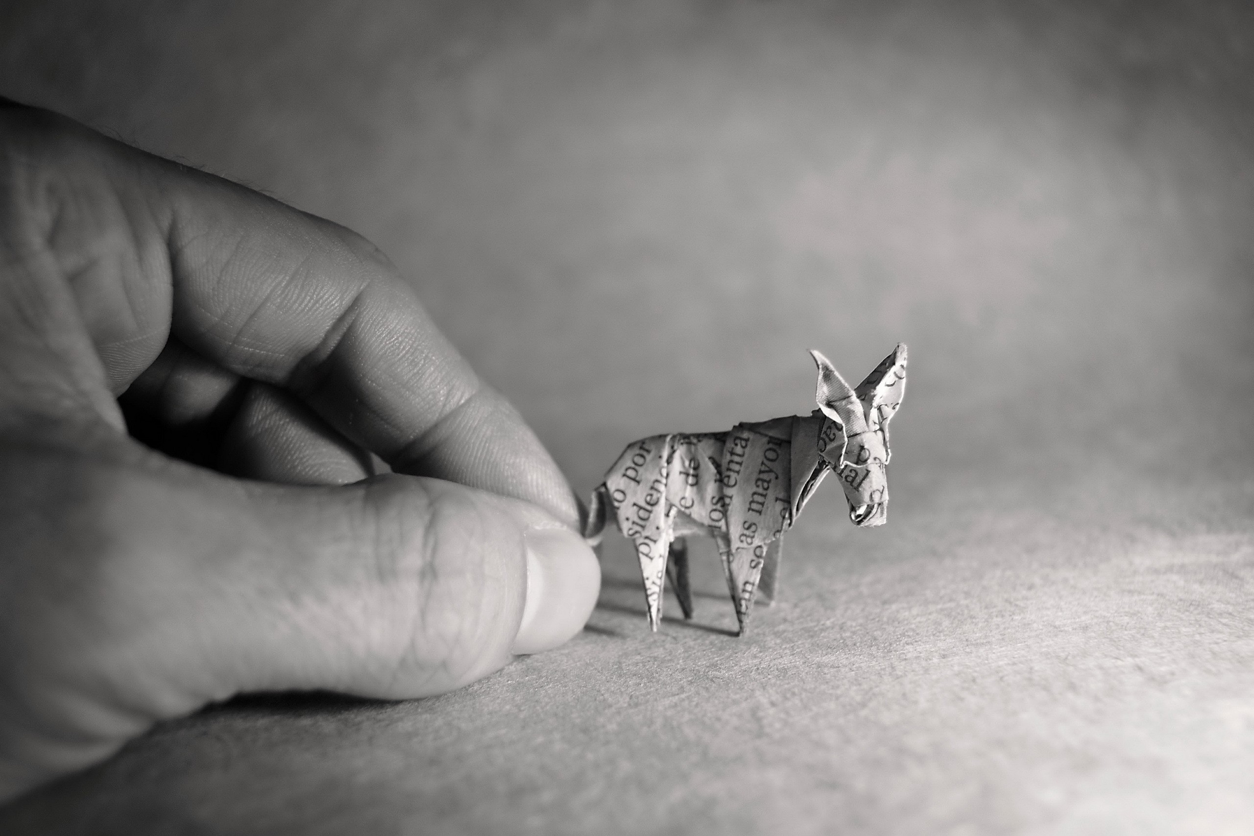 Monochrome Paper Hands Origami Donkey 2560x1706