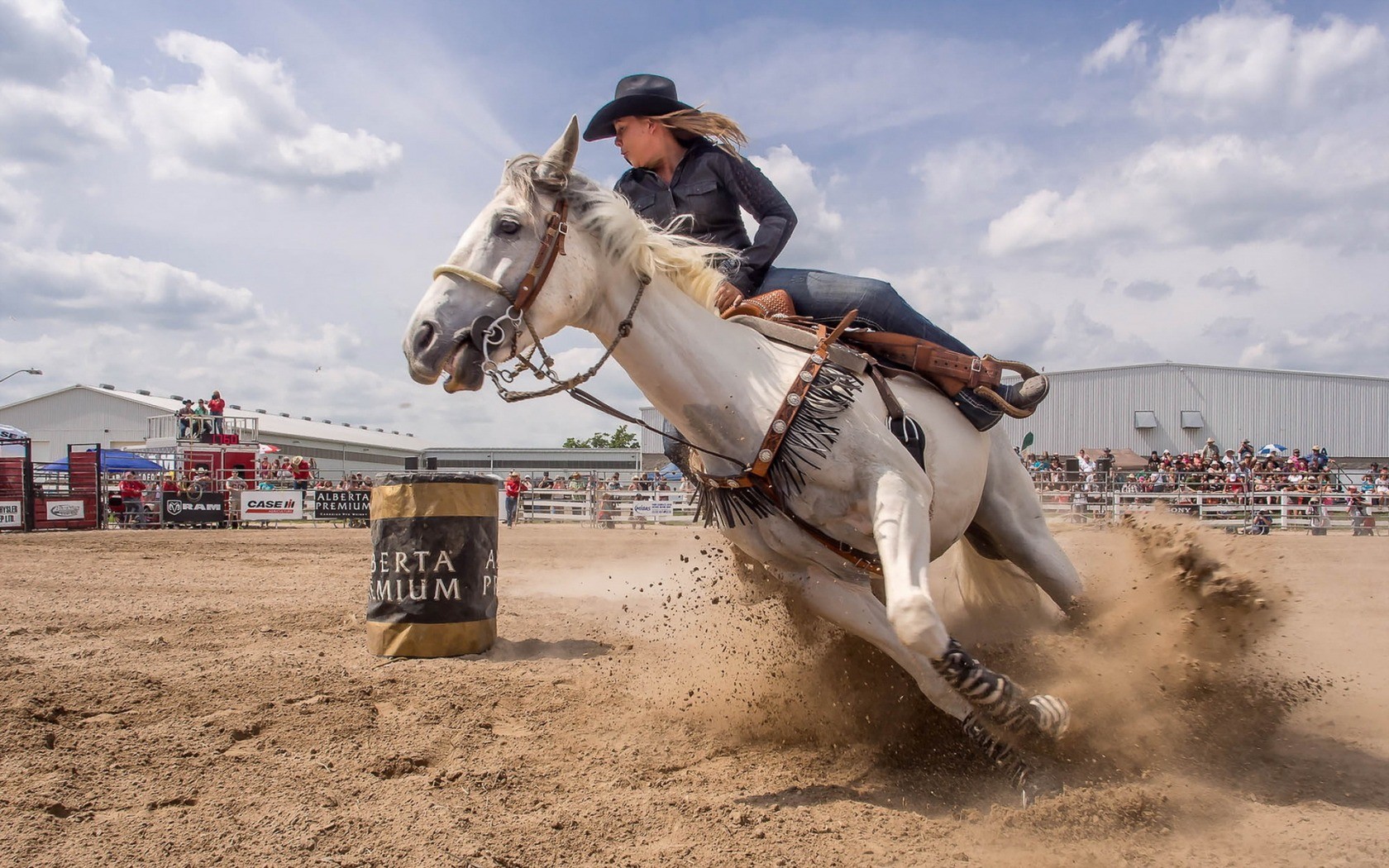 Horse Rodeos Women Animals Hat 1680x1050