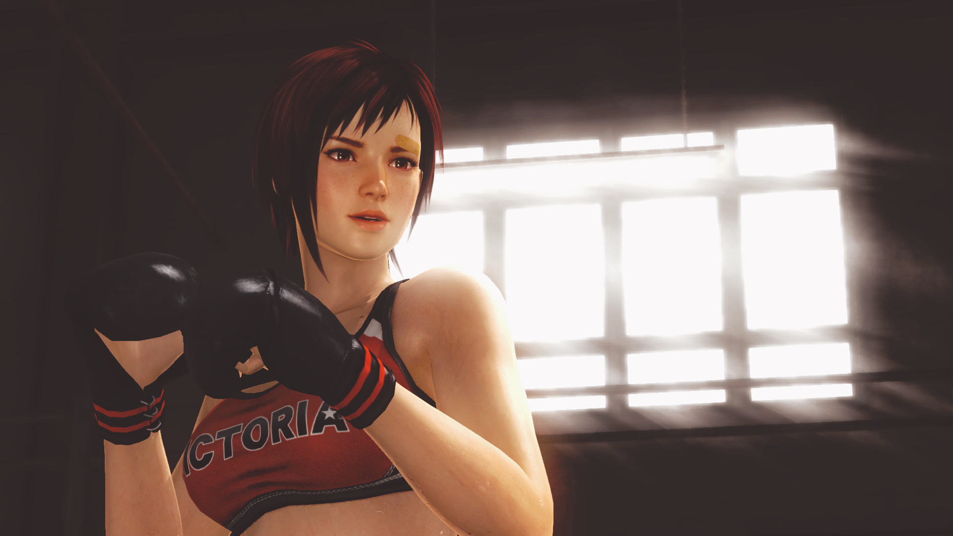 Dead Or Alive 5 Video Games Boxing Gloves 1920x1080