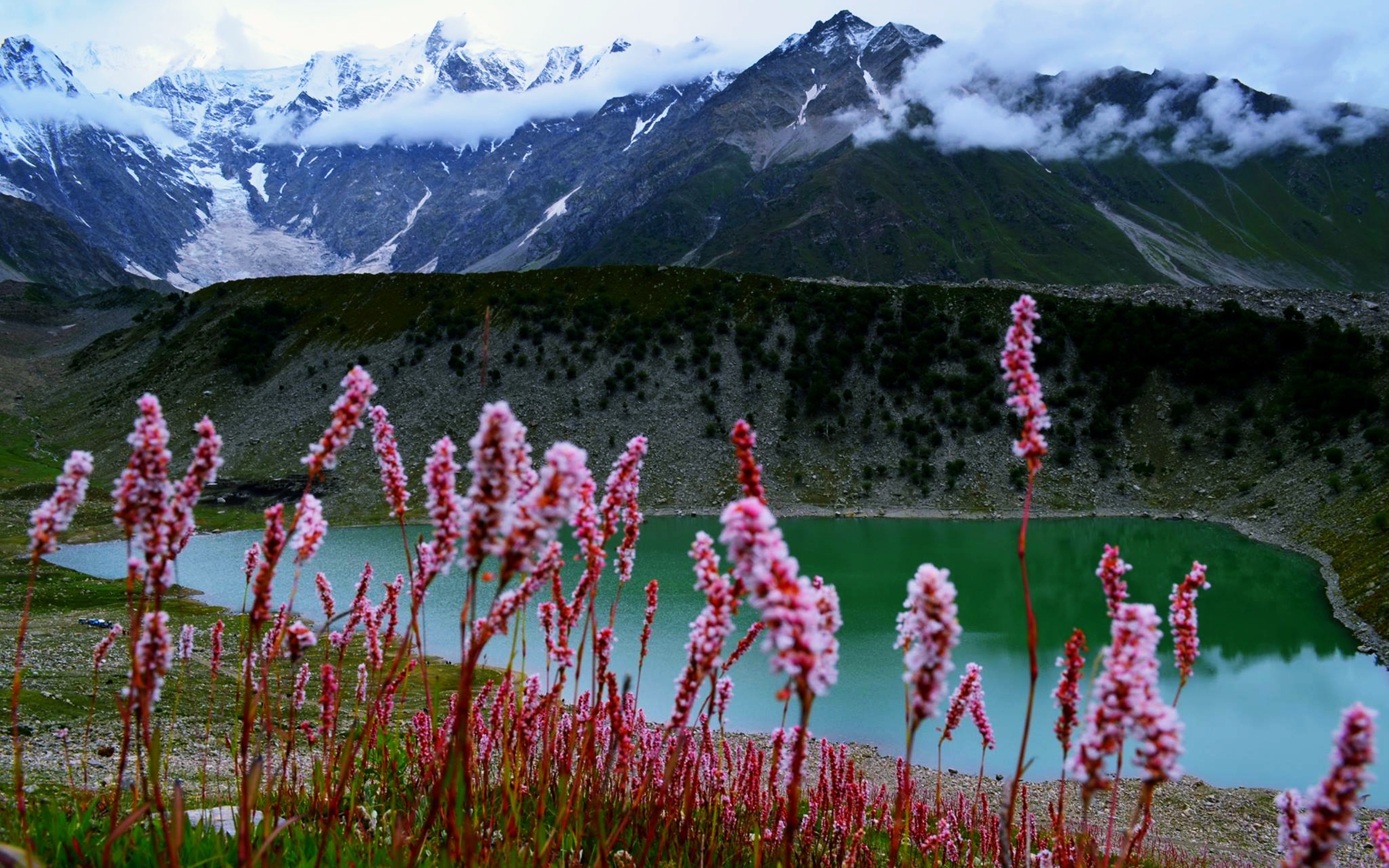 Lake Pakistan Landscape Nature Mountain Flower Hill 3840x2400