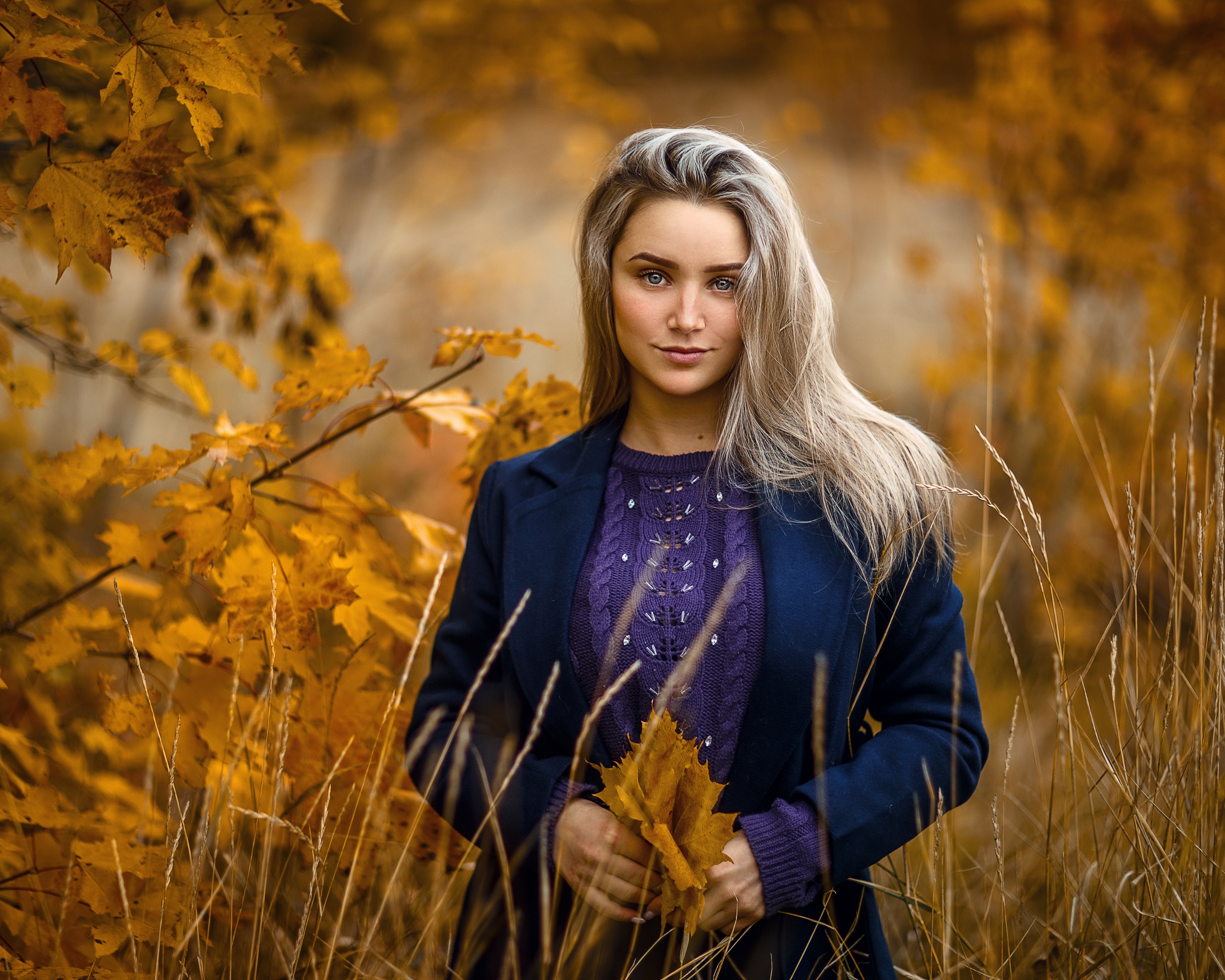 Sergey Sorokin Women Model Blonde Portrait Looking At Viewer Outdoors Forest Leaves Branch Fall Boke 2560x2048