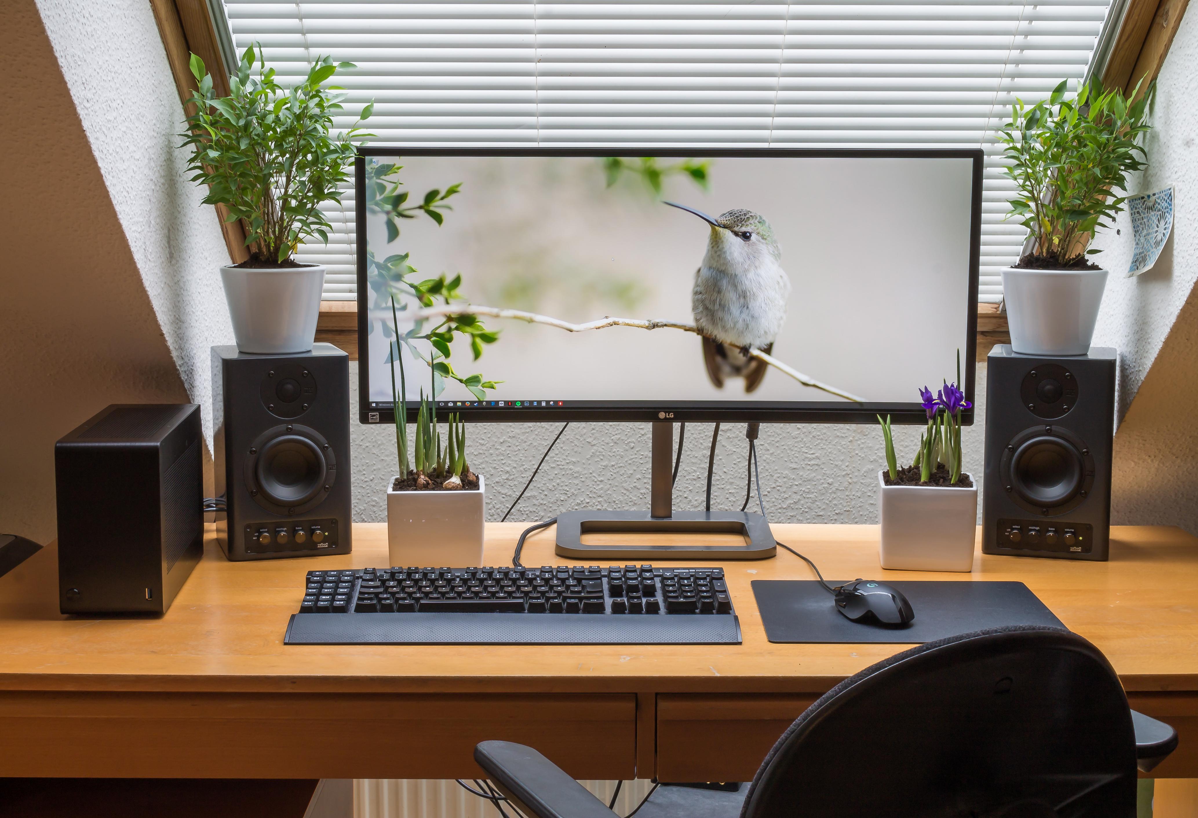 Workspace Computer Monitor Desk Speakers Keyboards Computer Mouse Plant Pot Plants Blinds 4135x2825