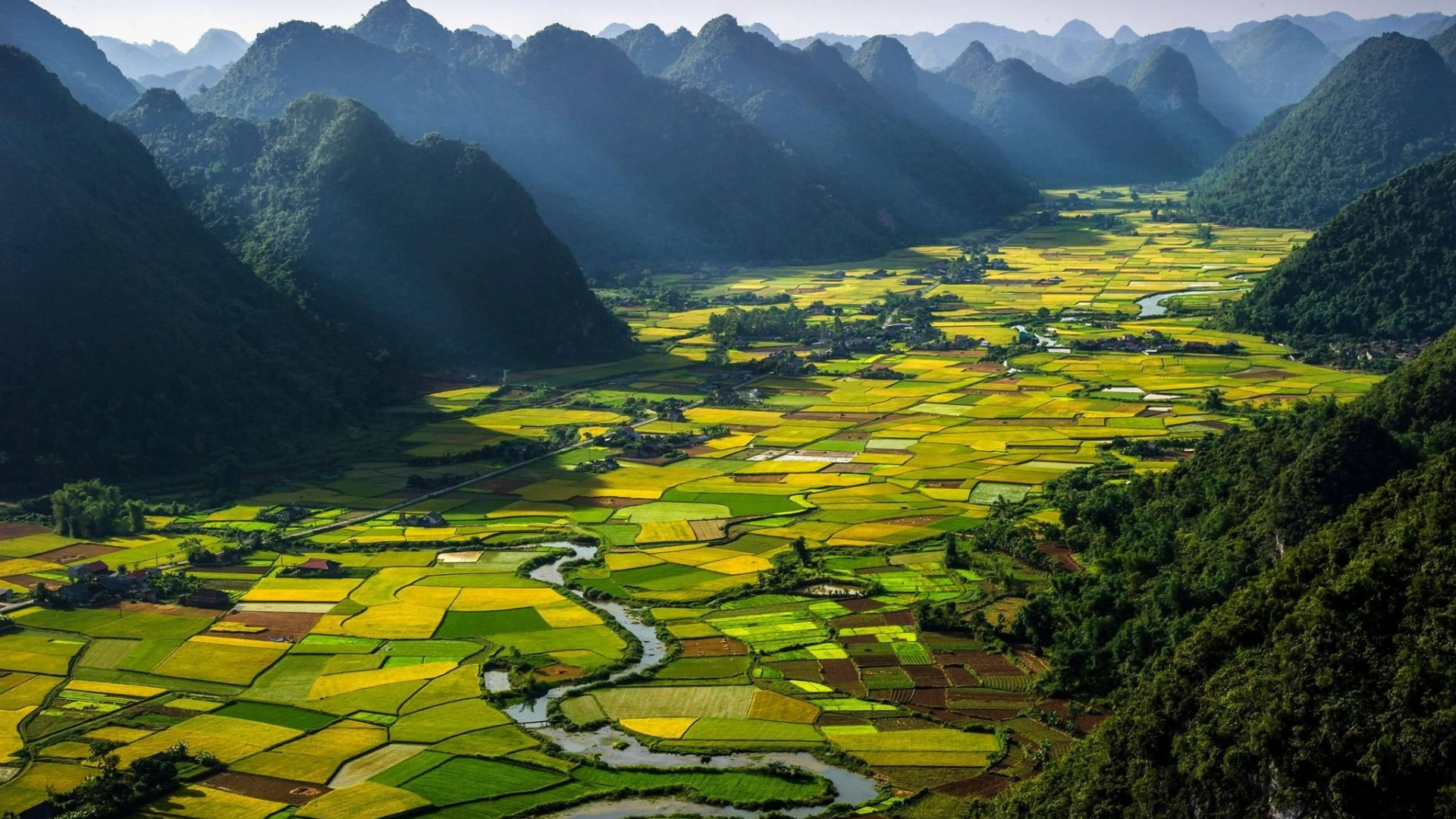 Earth Landscape Vietnam Field Rice Terrace Green 1920x1080