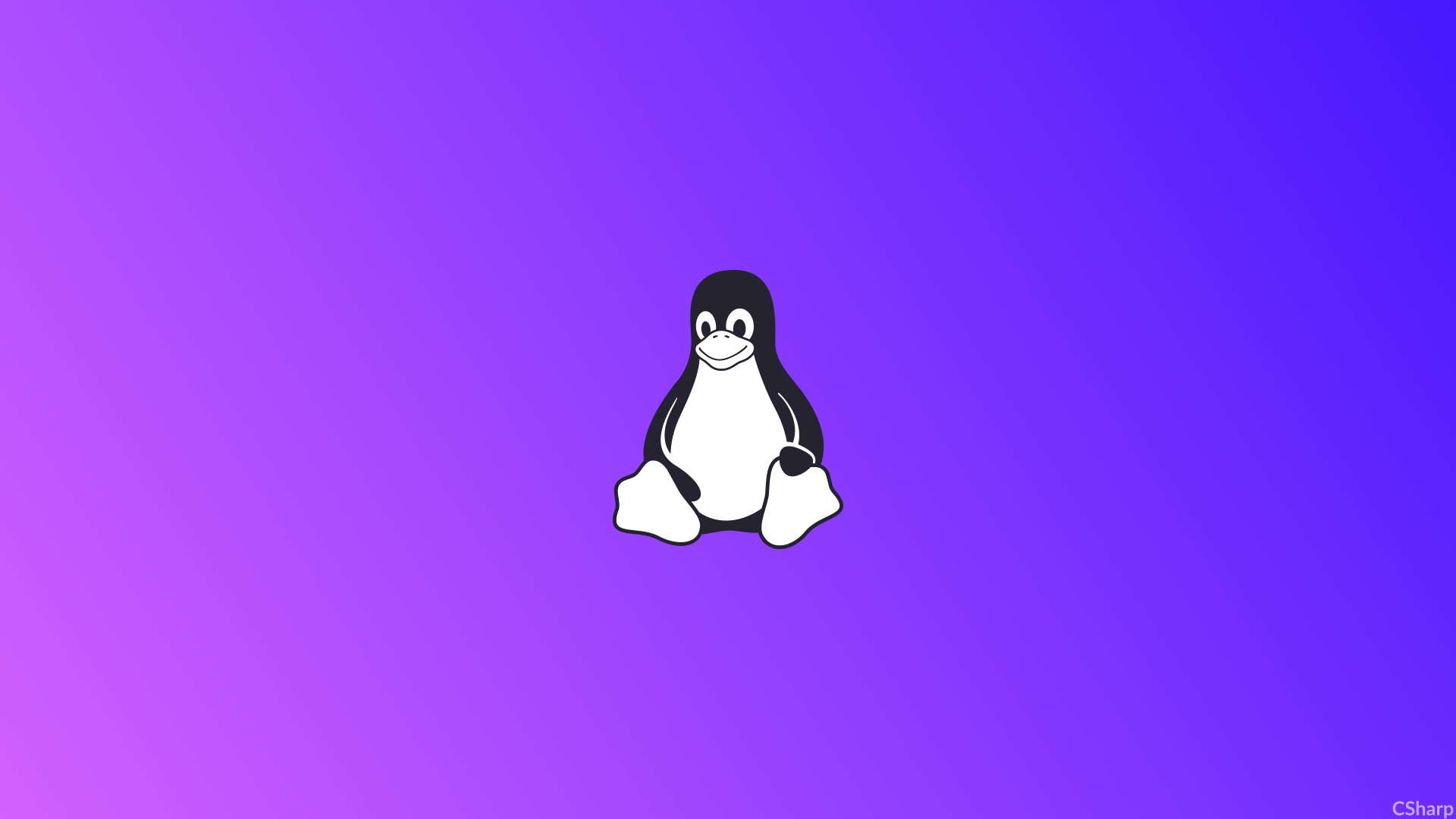 Linux Tux Simple Minimalism 1920x1080