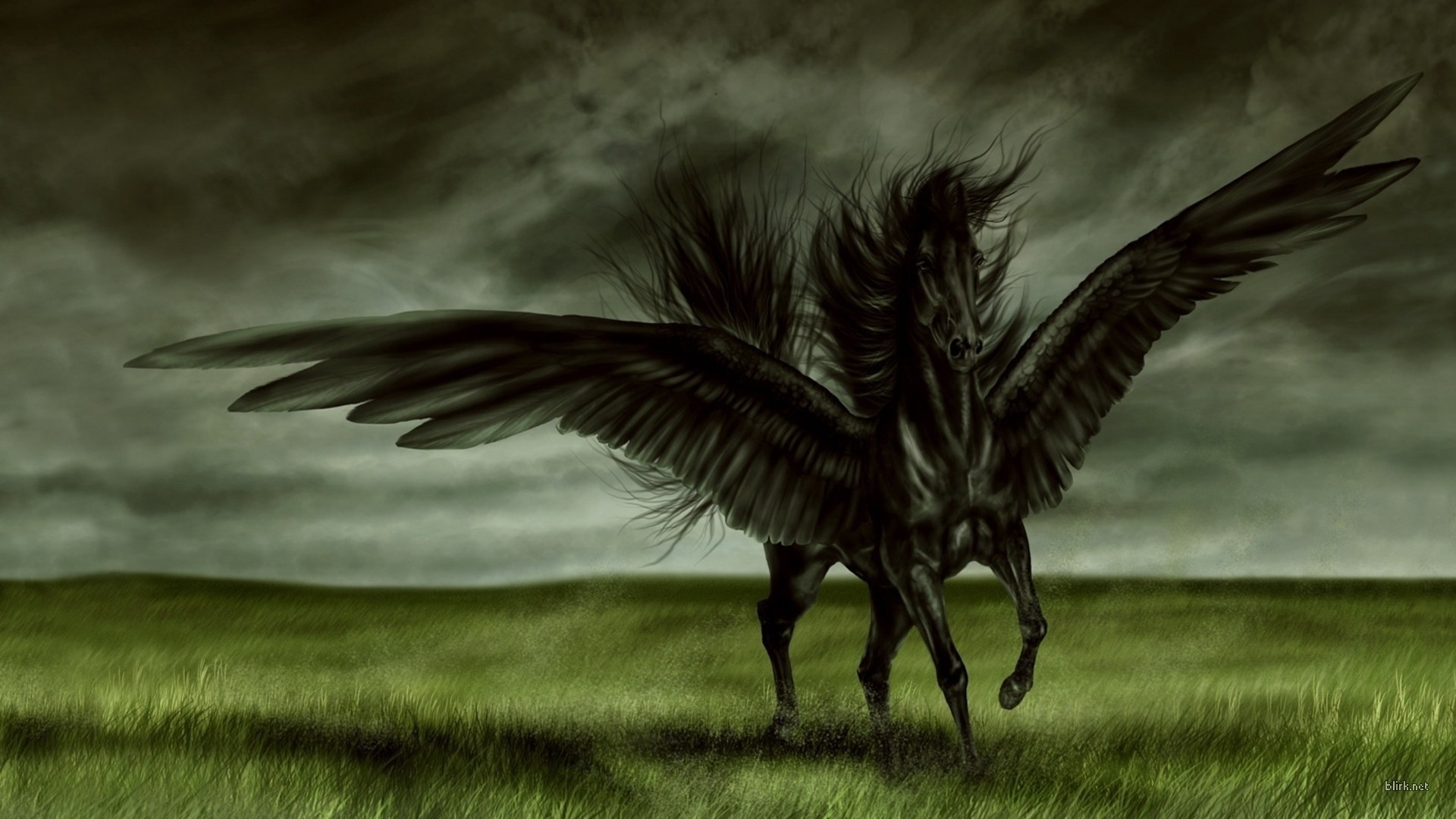 Fantasy Art Wings Pegasus Creature Artwork 1920x1080