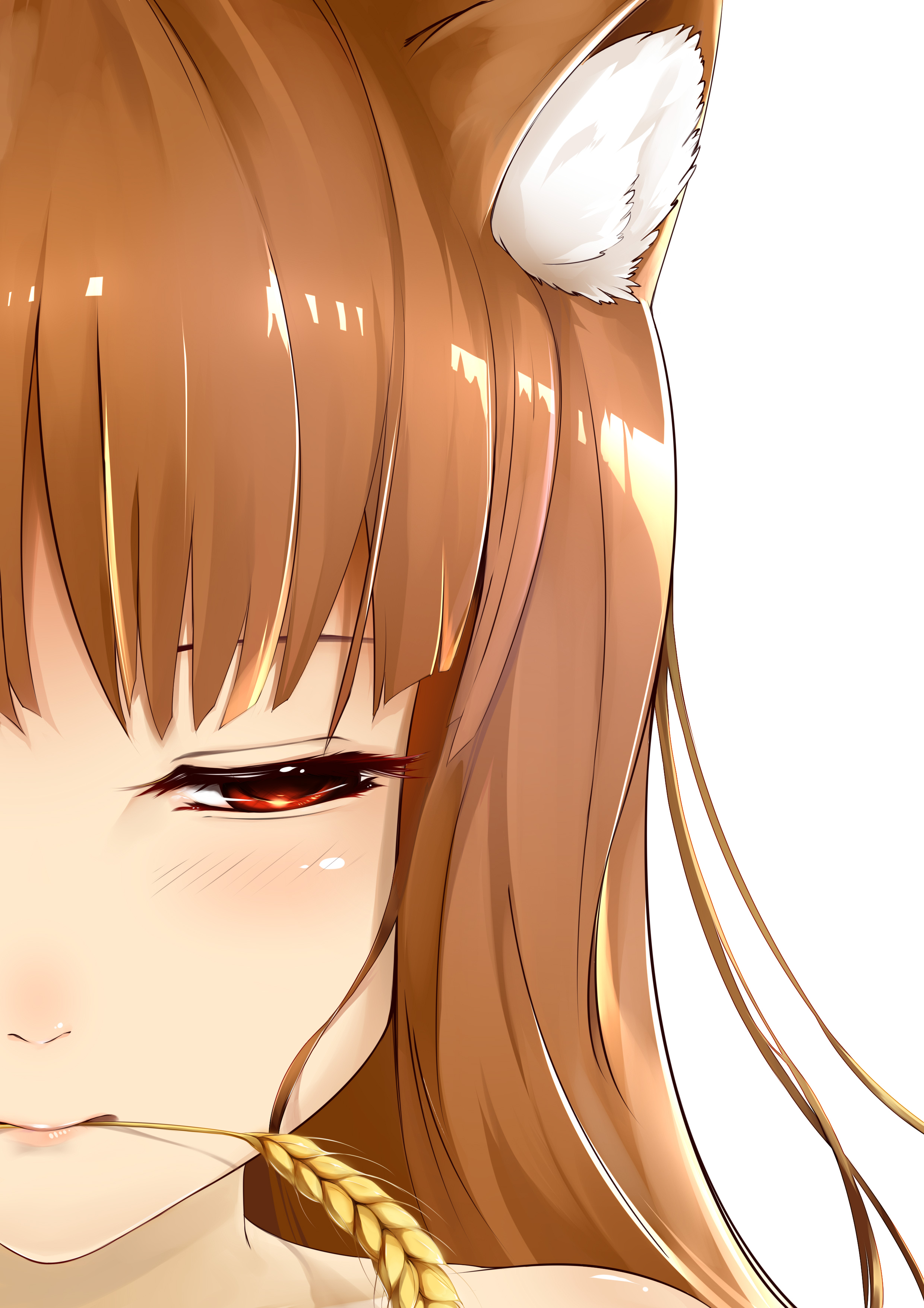 Holo Spice And Wolf Red Eyes Simple Background Redhead Spice And Wolf Looking Away Wolf Ears Okamimi 2480x3508