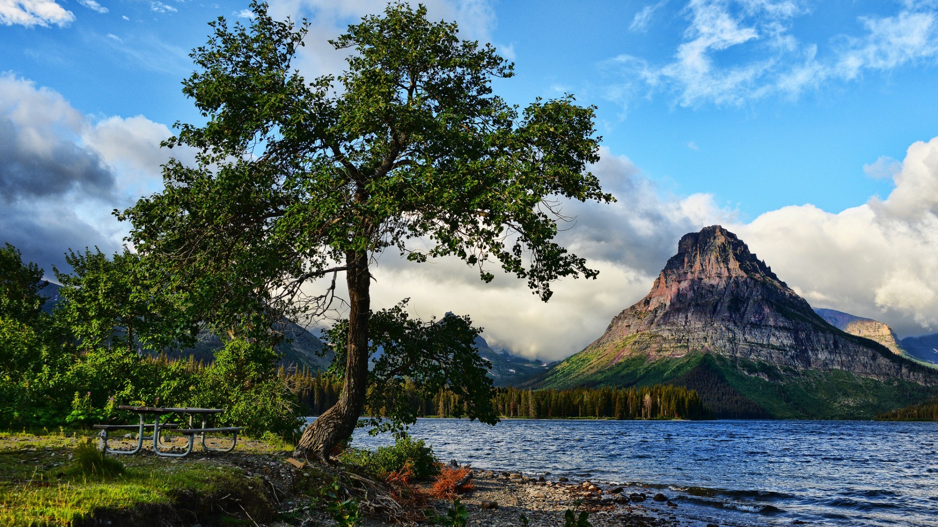 Nature Landscape Mountains Water Lake Trees Montana USA Glacier National Park Bench Clouds Forest Hi 1920x1080