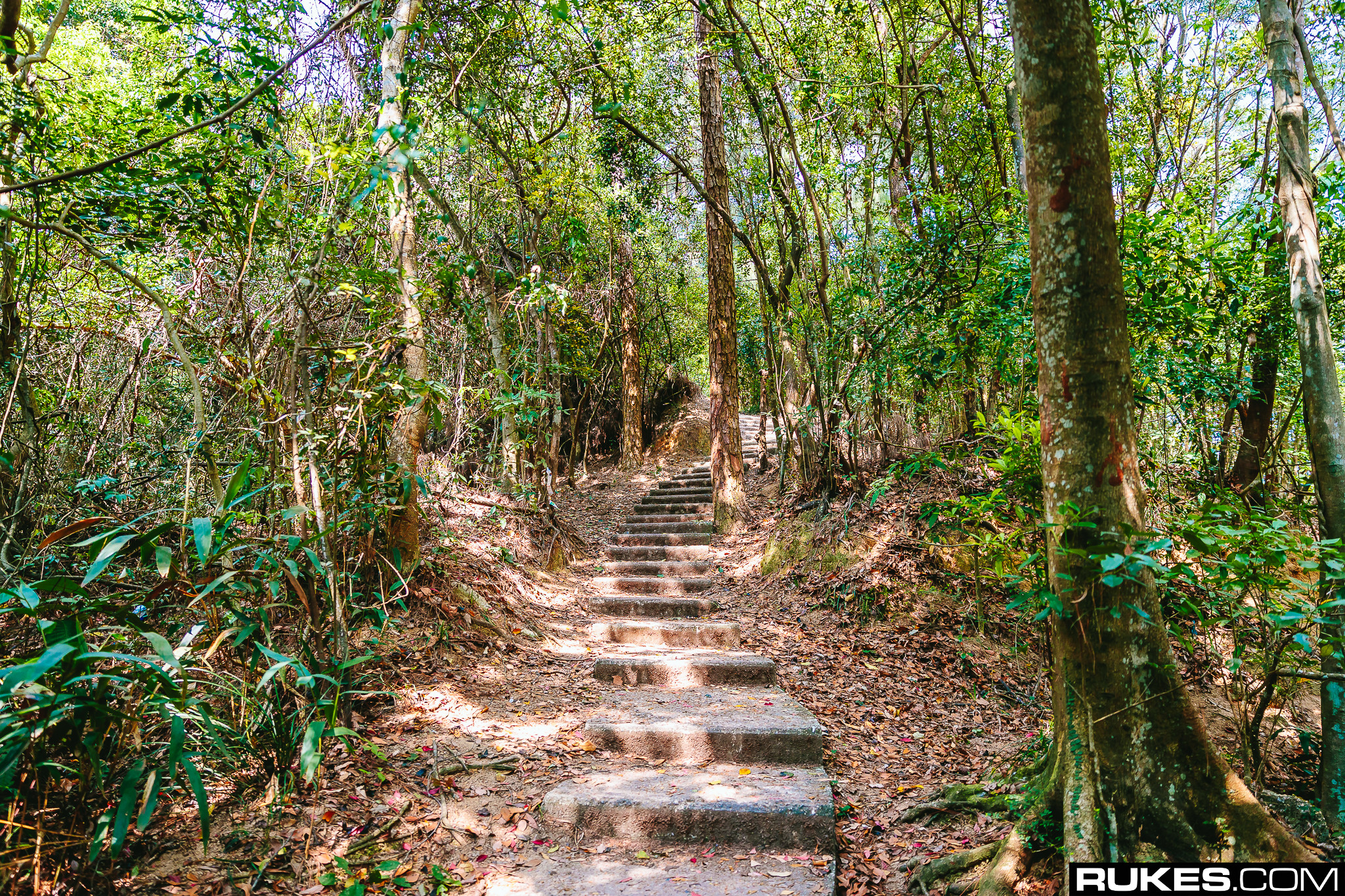 Rukes Photography Hong Kong Forest Path Stairway 2048x1365