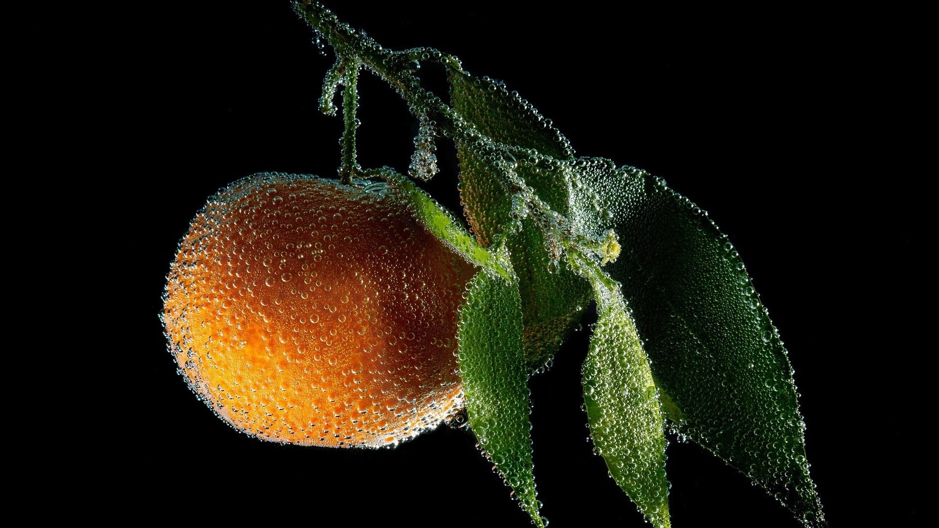 Macro Peaches Fruit Water Drops 1920x1080