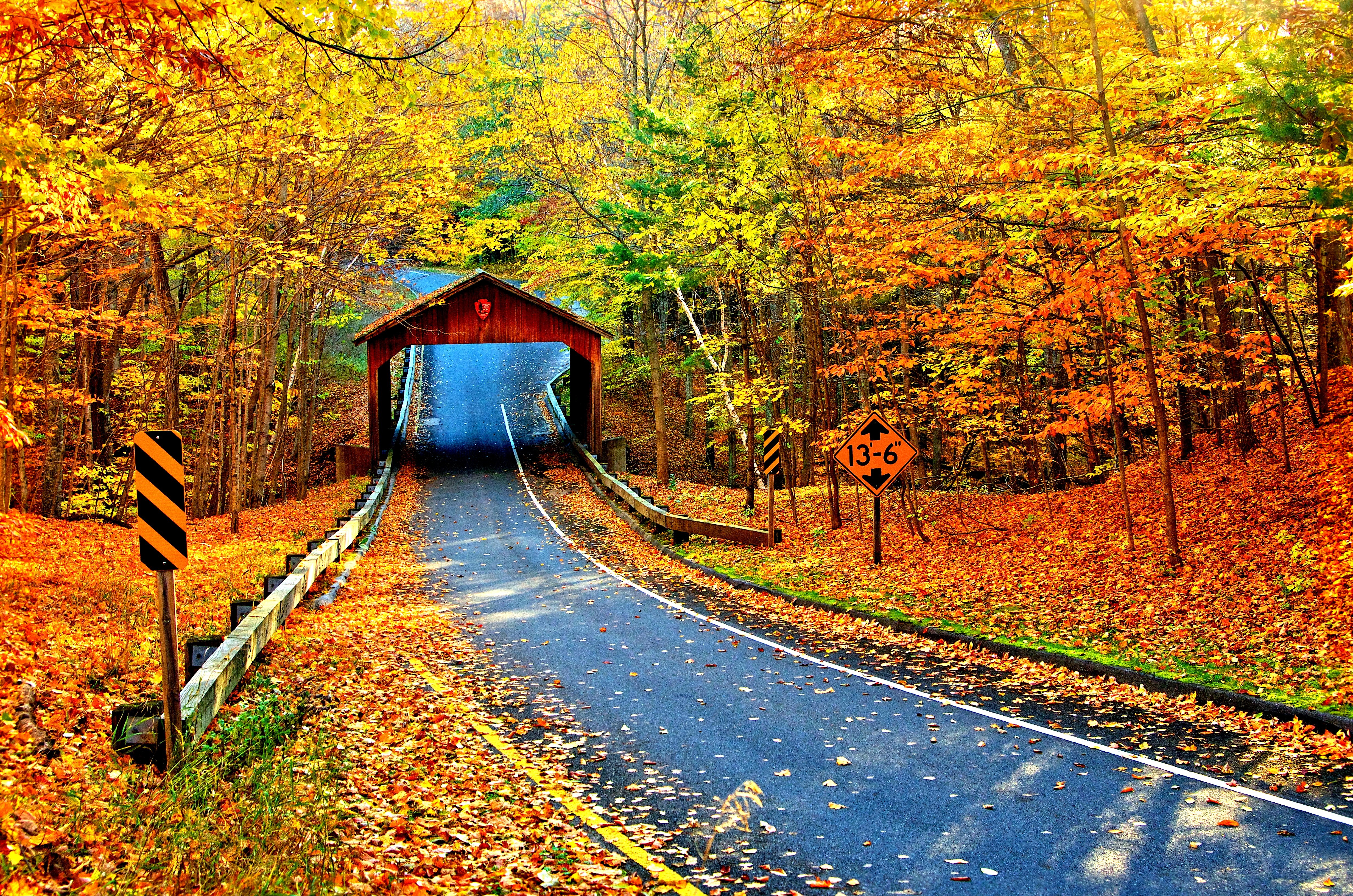 Man Made Covered Bridge Bridge Fall Foliage Road Tree 4928x3264