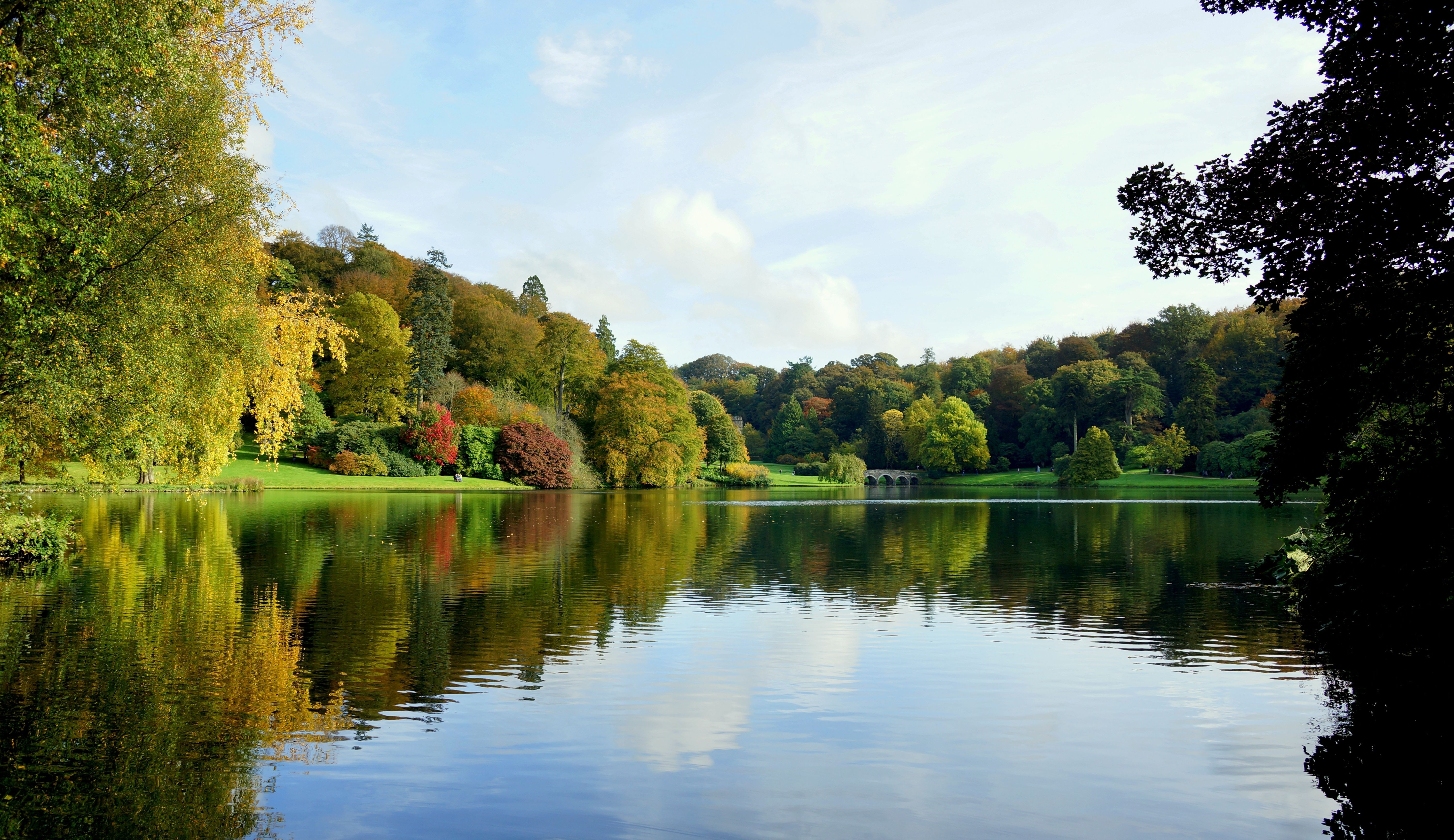 Nature Forest Stourhead Garden Lake 6000x3467