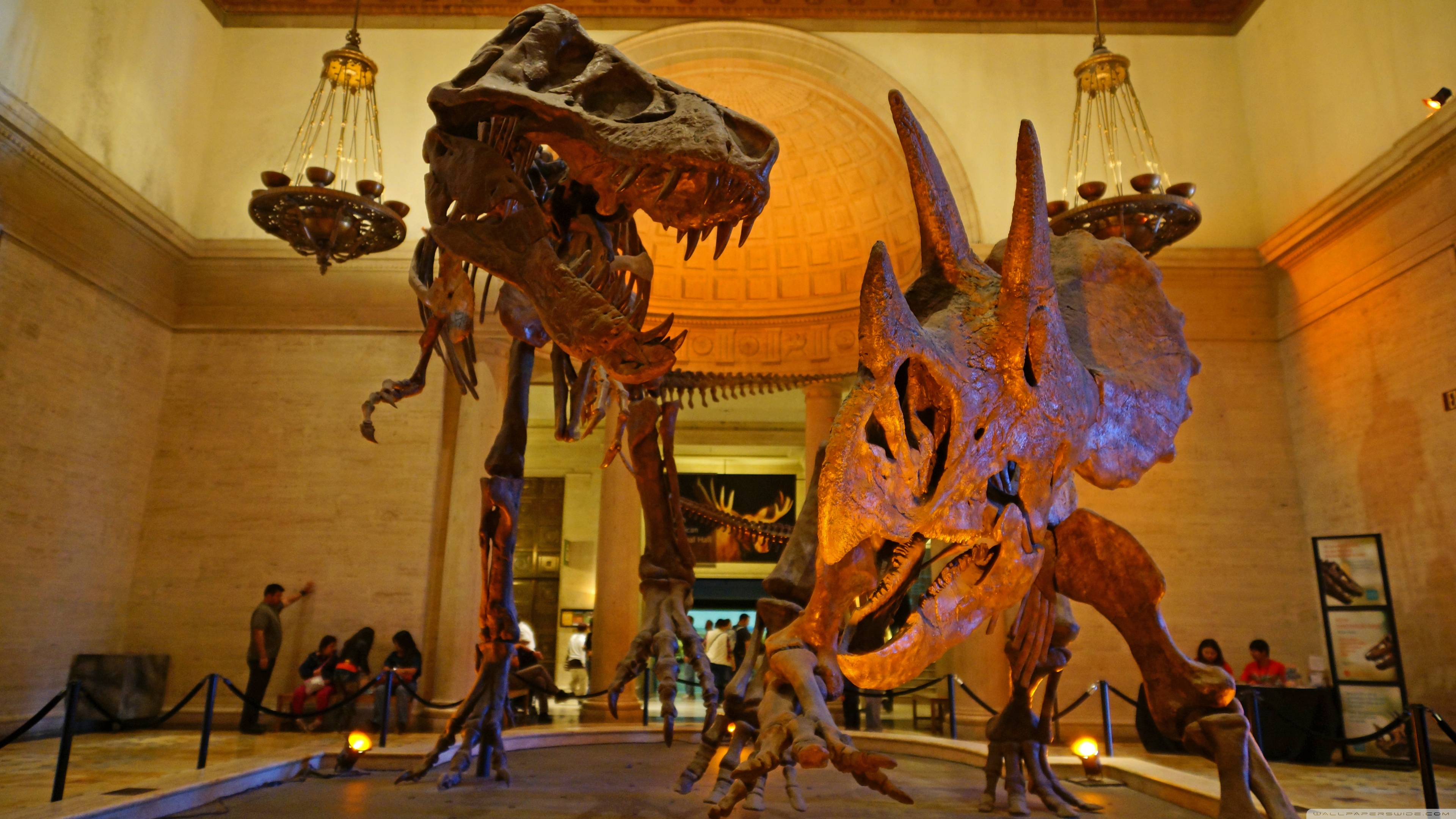 Tyrannosaurus Rex Triceratops Dinosaurs Skeleton Museum Los Angeles Nature Prehistoric Fossils 3840x2160