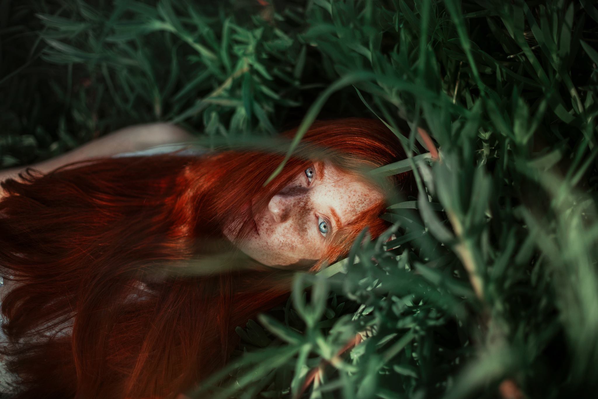 Redhead Face Freckles Grass Women Ronny Garcia 2048x1366