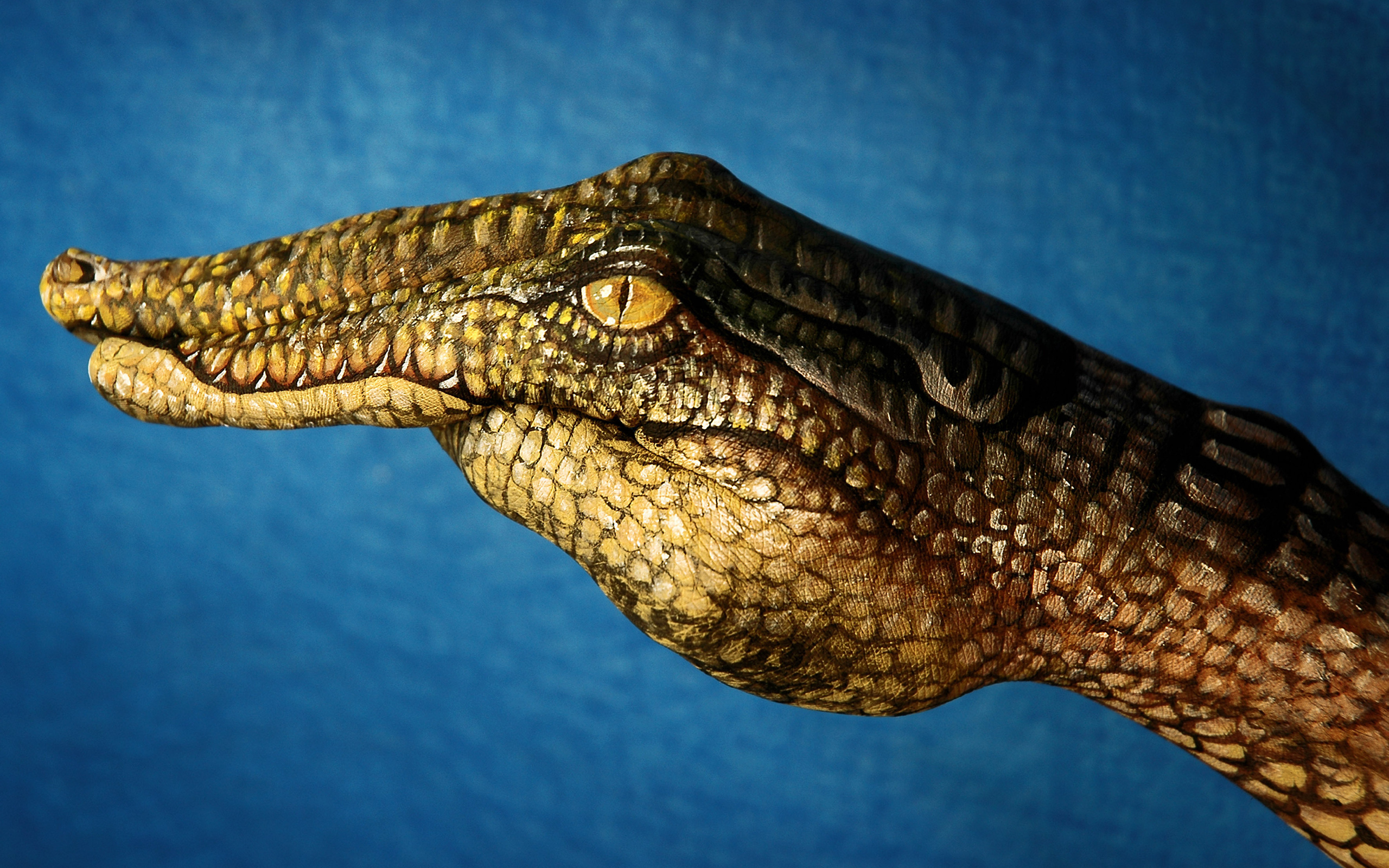 Hands Crocodiles Digital Art Simple Background 2560x1600