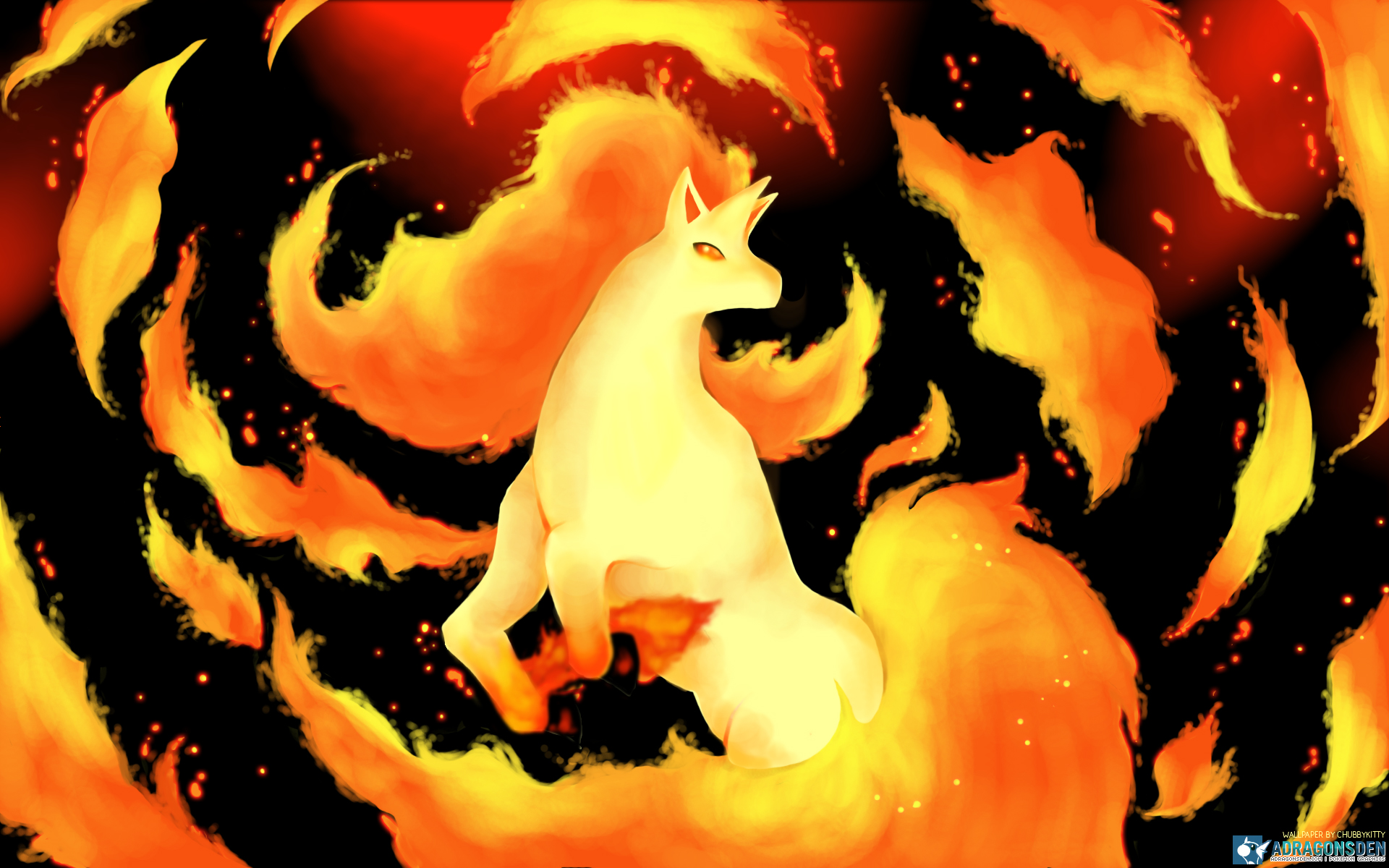 Rapidash Pokemon 1920x1200