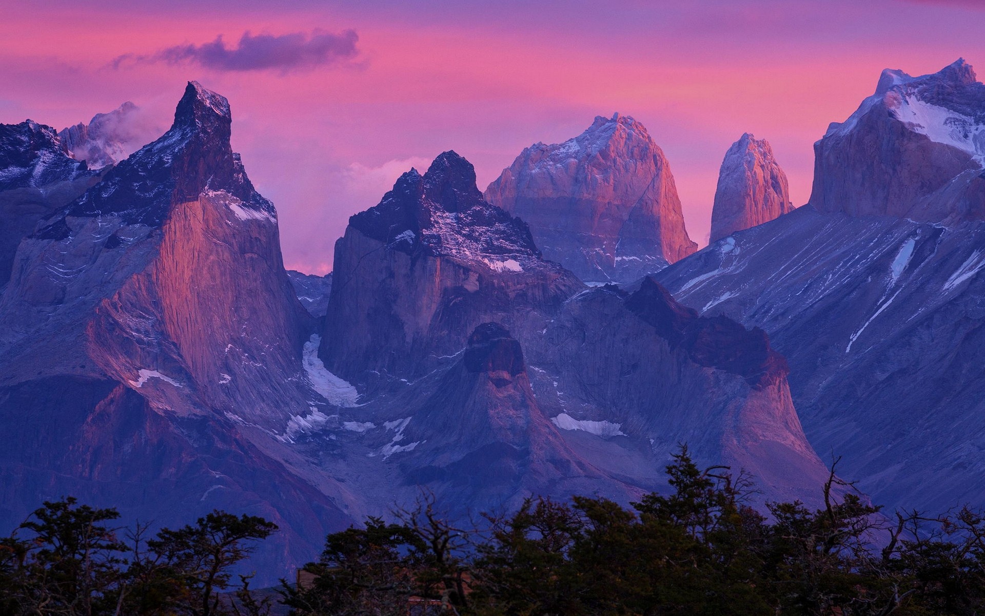 Nature Landscape Patagonia Mountains Torres Del Paine Chile Forest 1920x1200