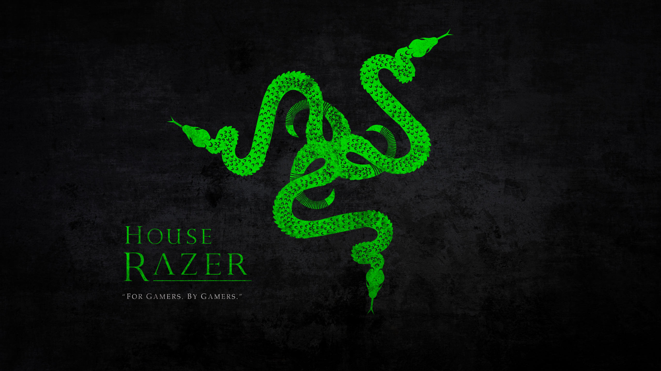 2K Razer Razer Inc Green Snake Logotype Logo Gamers Typography Game Of Thrones 2560x1440