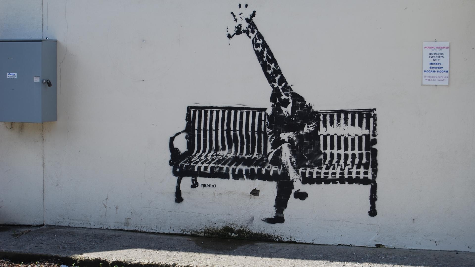 Artwork Animals Graffiti Wall Banksy Bench Sitting Legs Giraffes Shadow Street Art 1920x1080