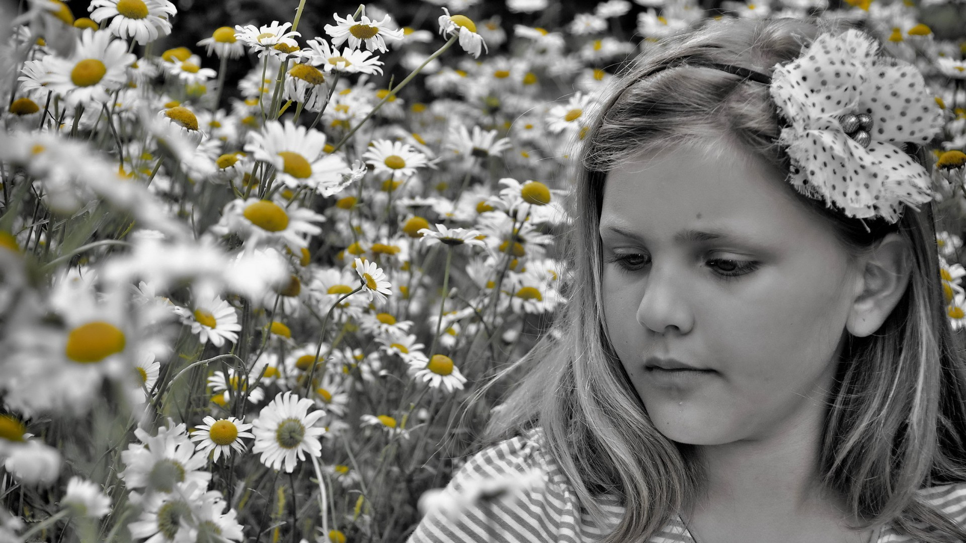 Daisies Children Selective Coloring Flowers Hair Bows 1920x1080